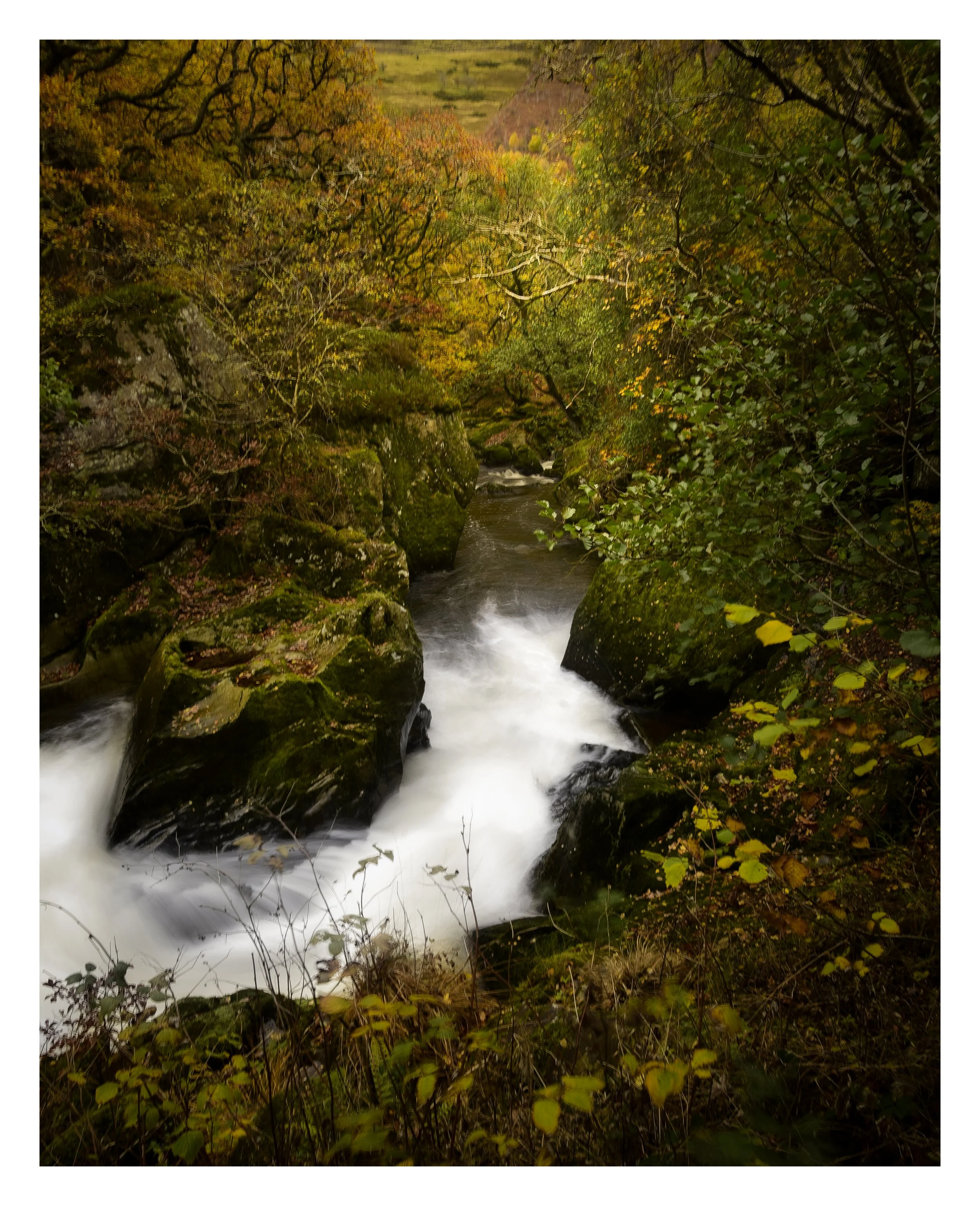 _DSC5810 (1).jpg