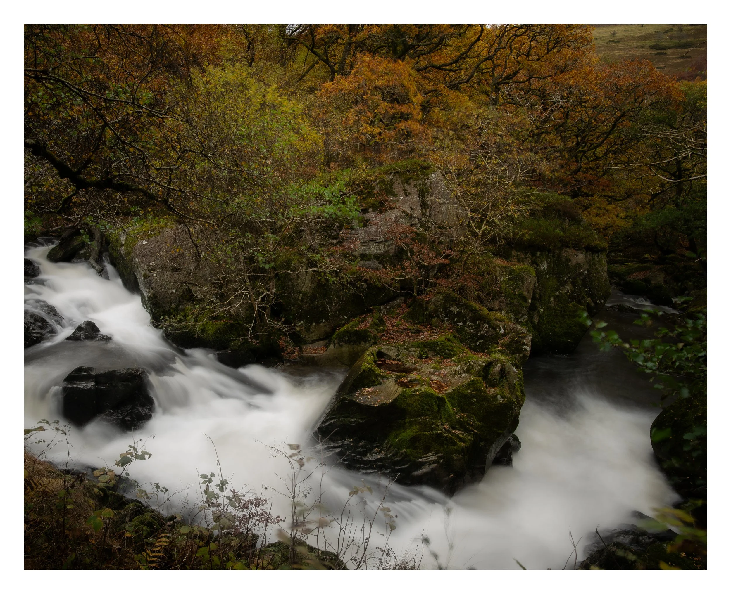 _DSC5803 (1).jpg
