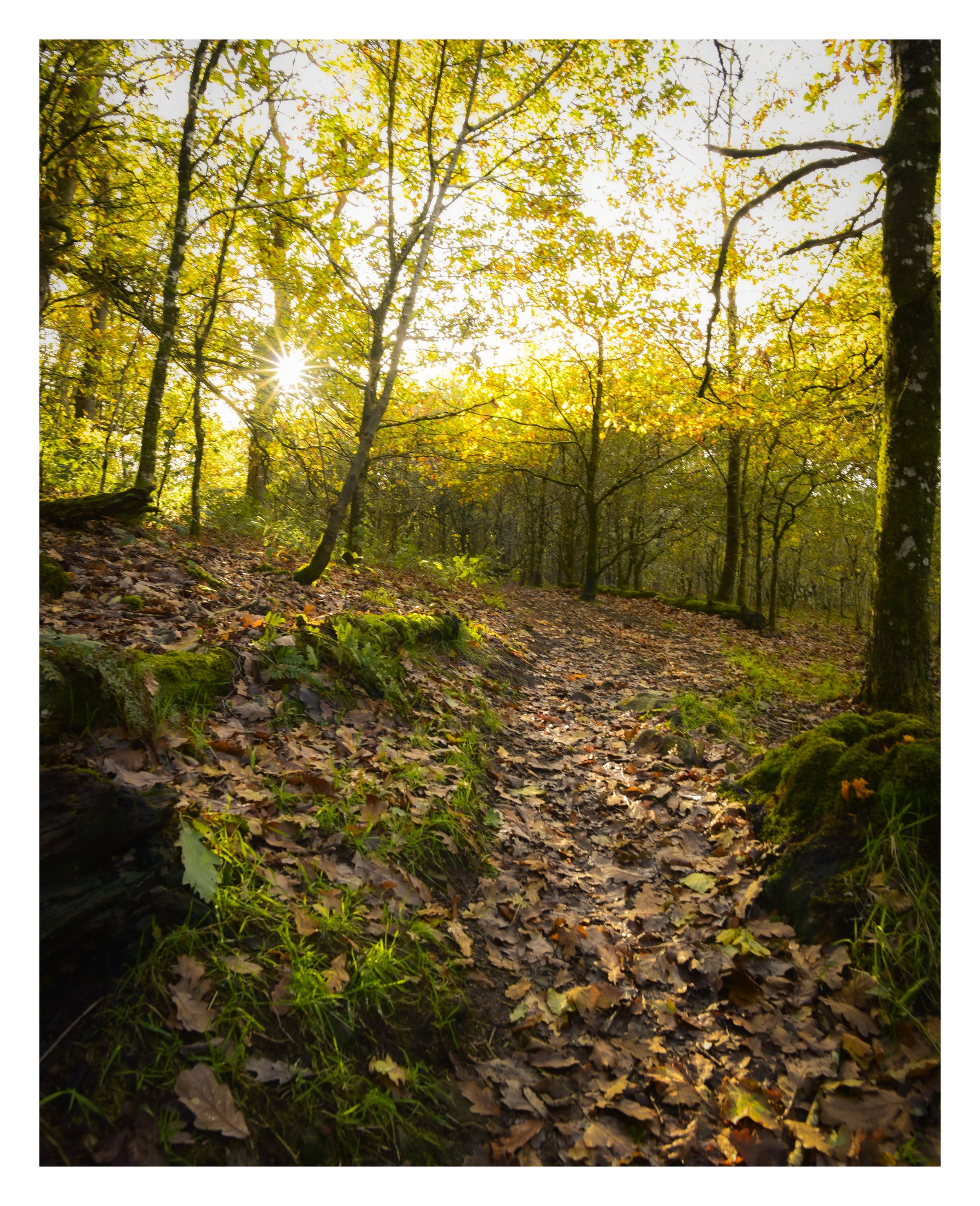 _DSC5763 (1).jpg