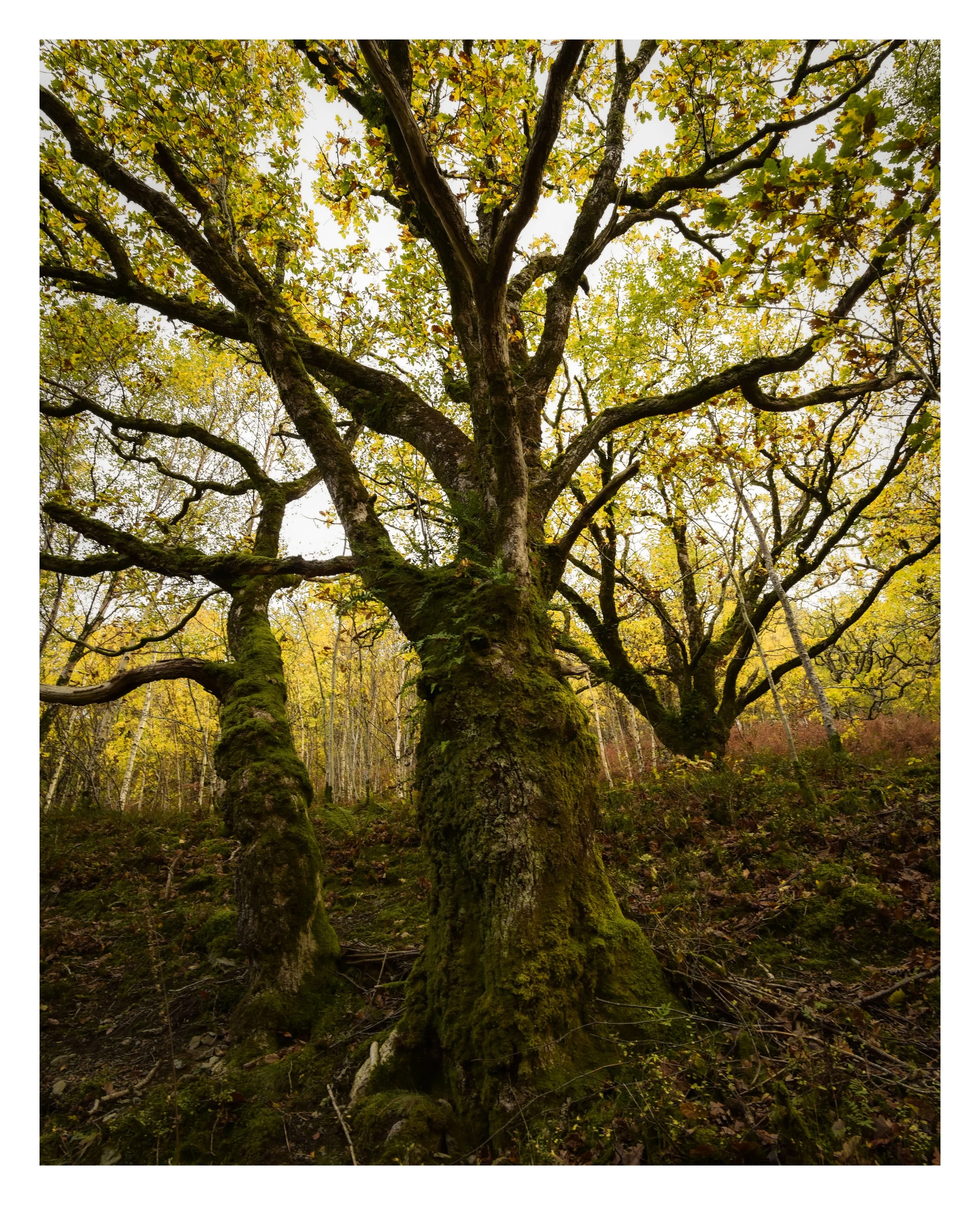 _DSC5738 (1).jpg