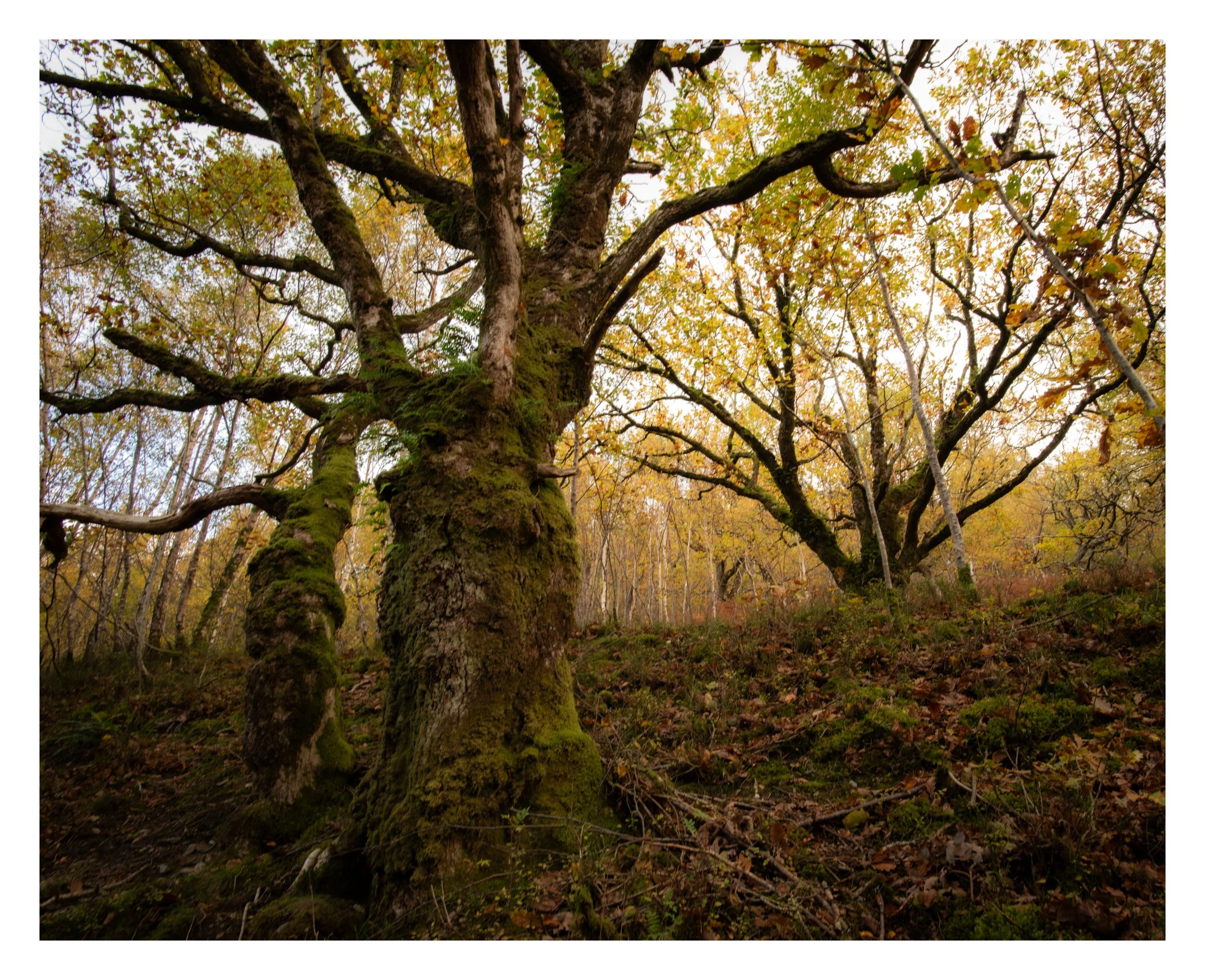 _DSC5739 (1).jpg