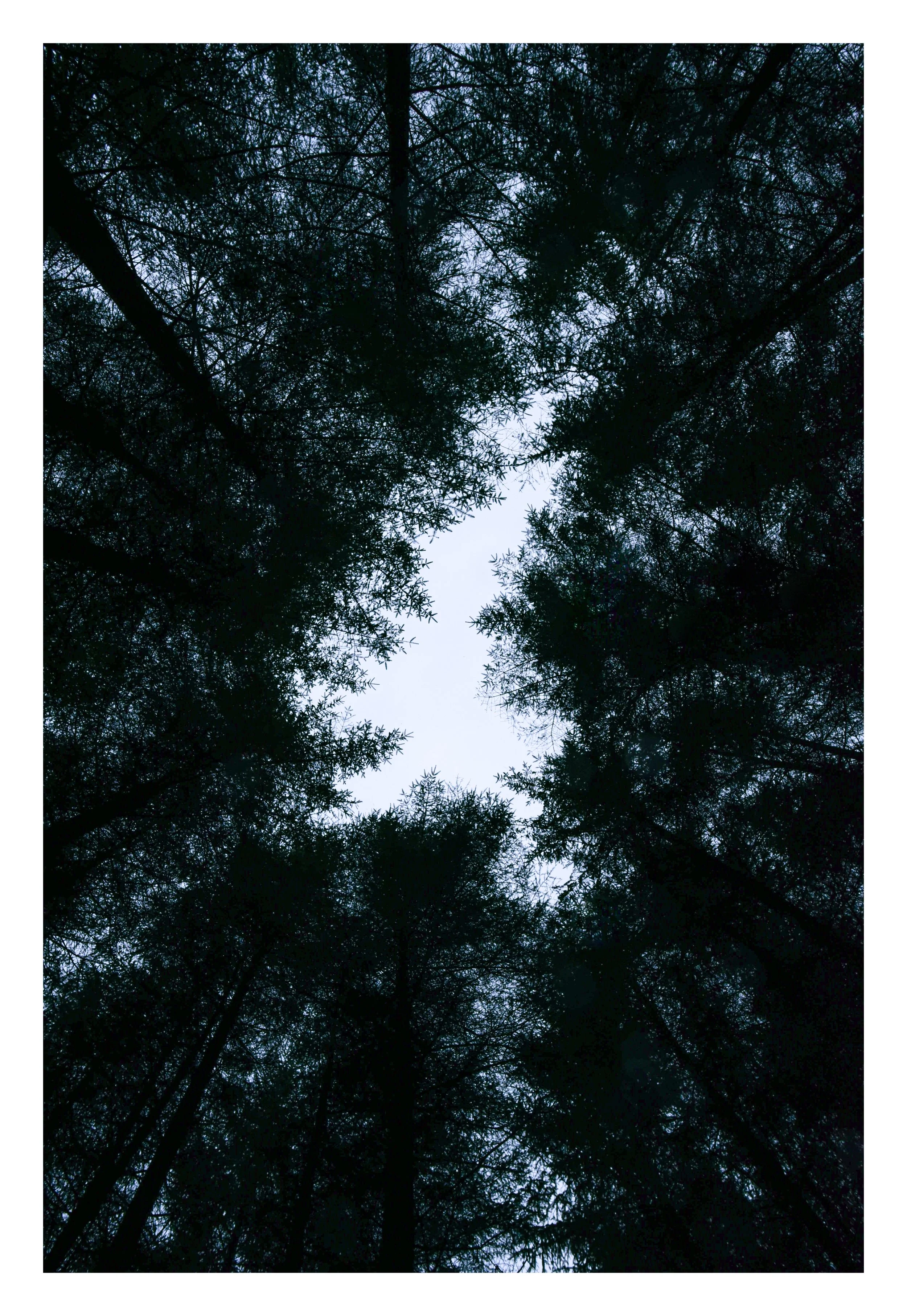 _DSC5719 (2).jpg