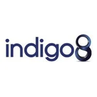 The word 'indigo' with two overlapping circles, one solid and one outlined, following the text.