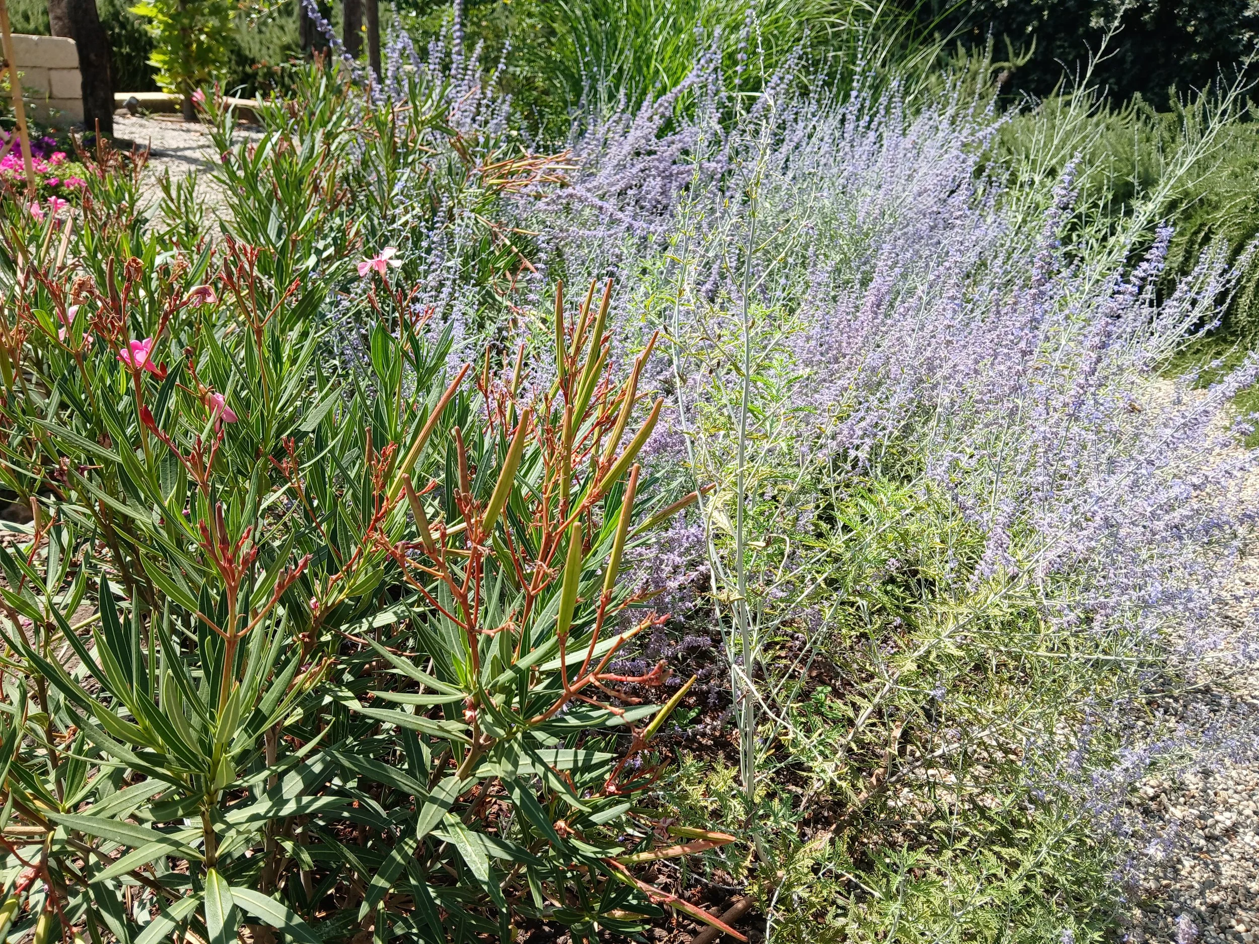 20250714_103905.jpg