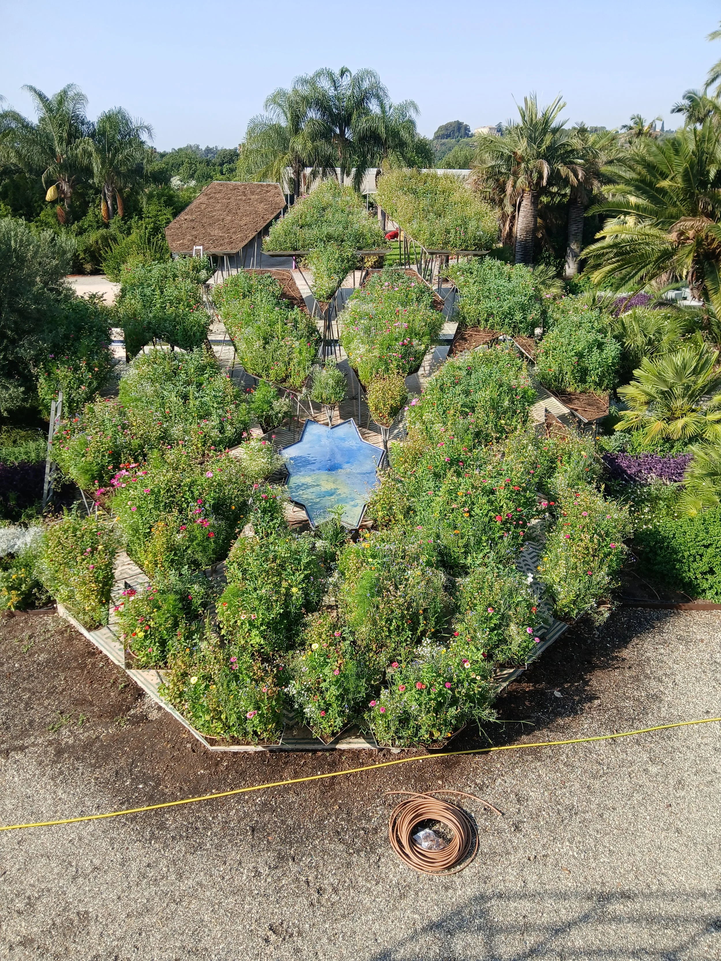 20250708_083155.jpg