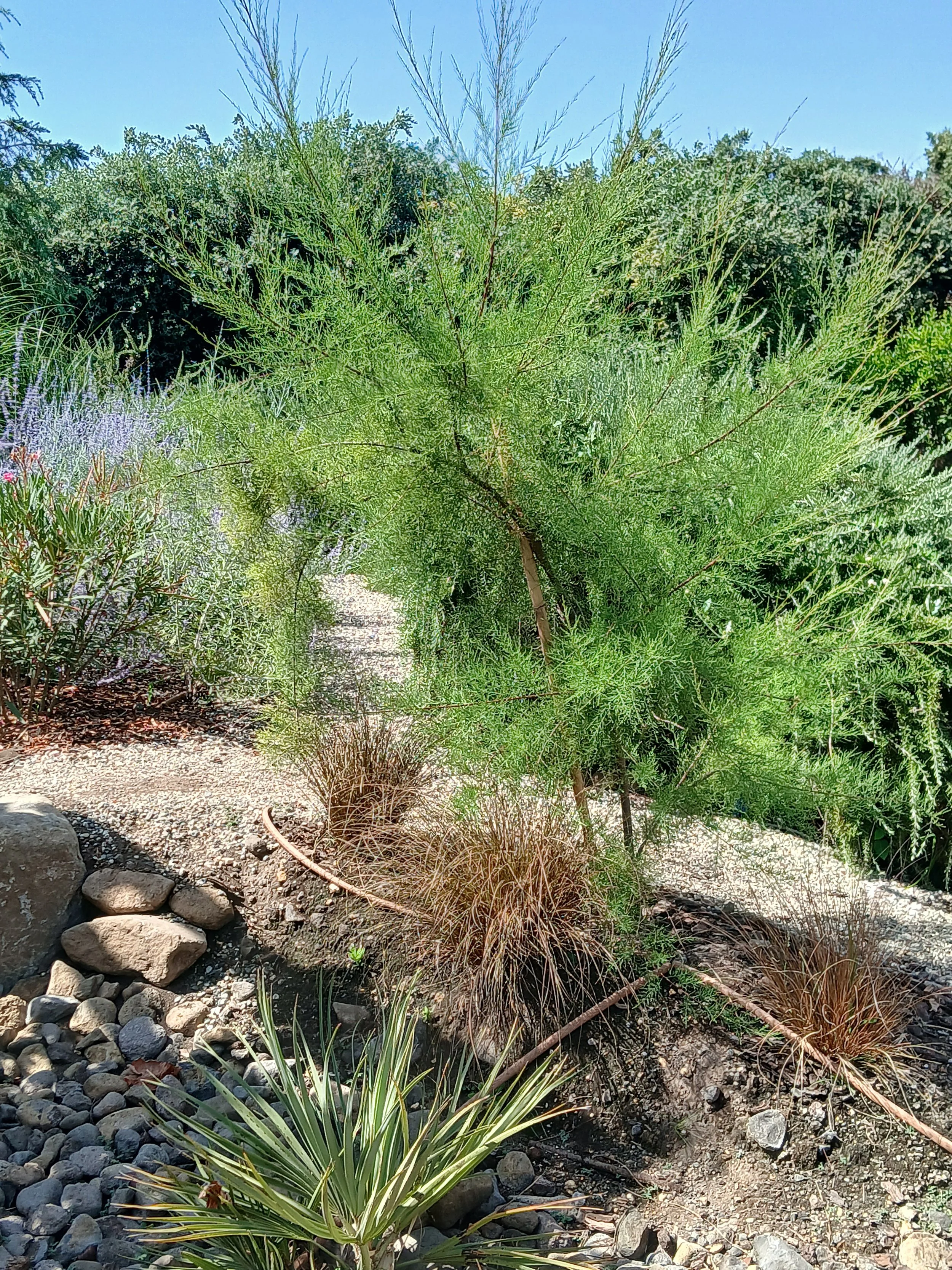 20250714_103518.jpg
