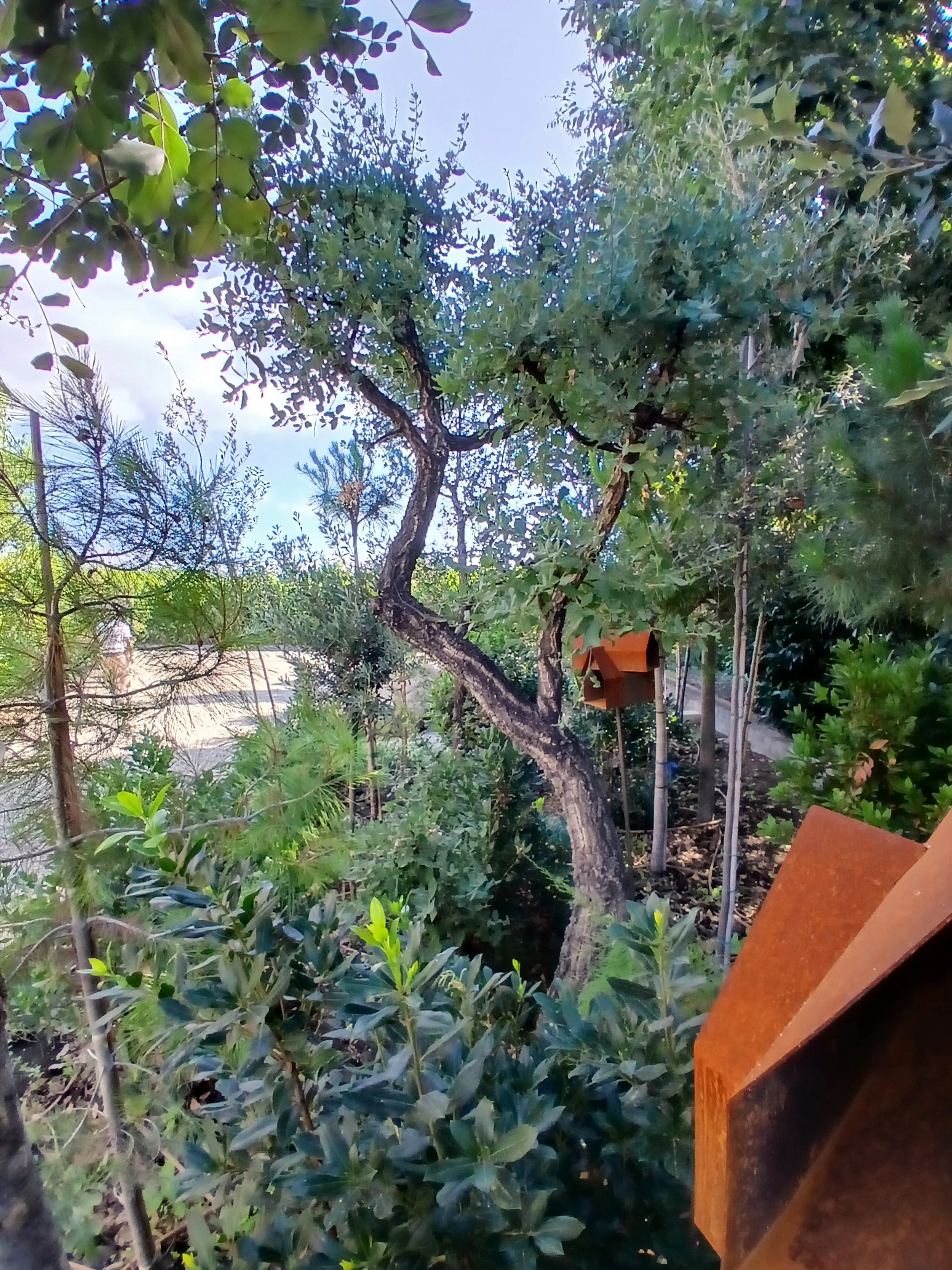20250709_091558.jpg