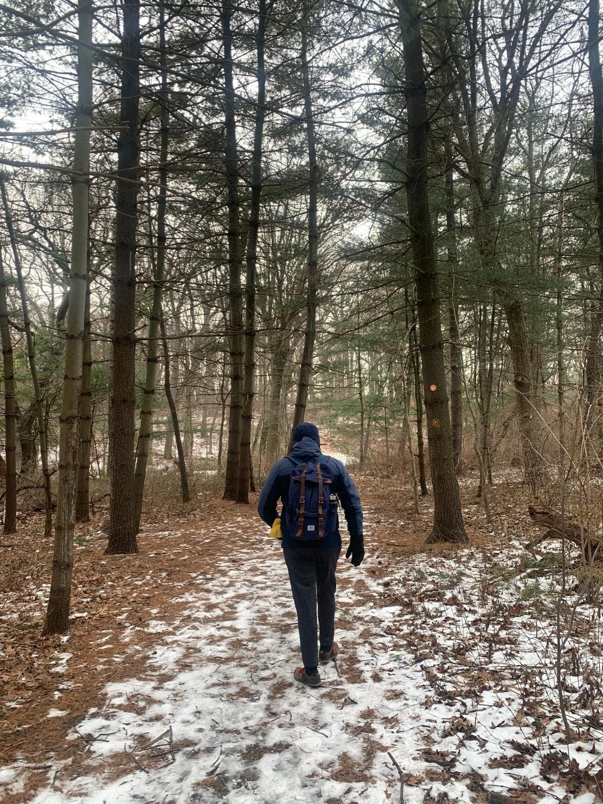 How to relieve stress with an easy nature hike