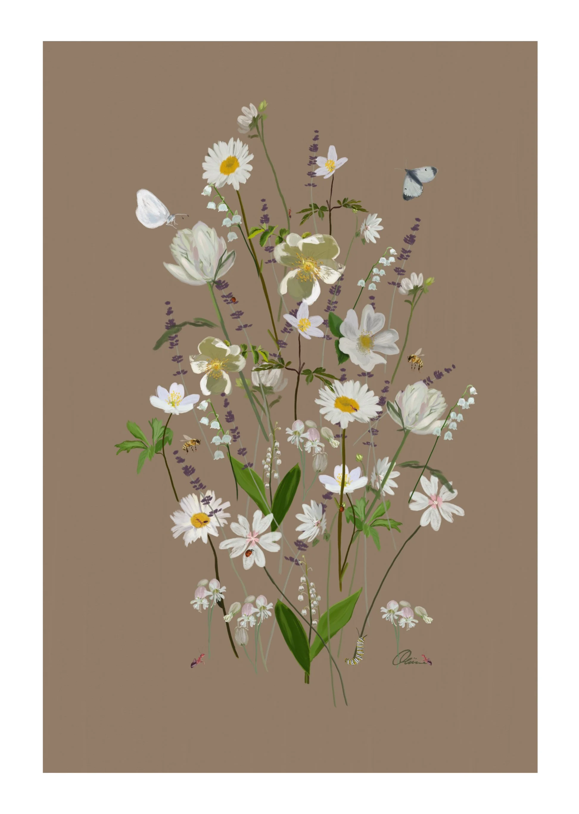 Illustration of various white flowers, including daisies and poppies, with bees, butterflies, and a caterpillar on a plain brown background.