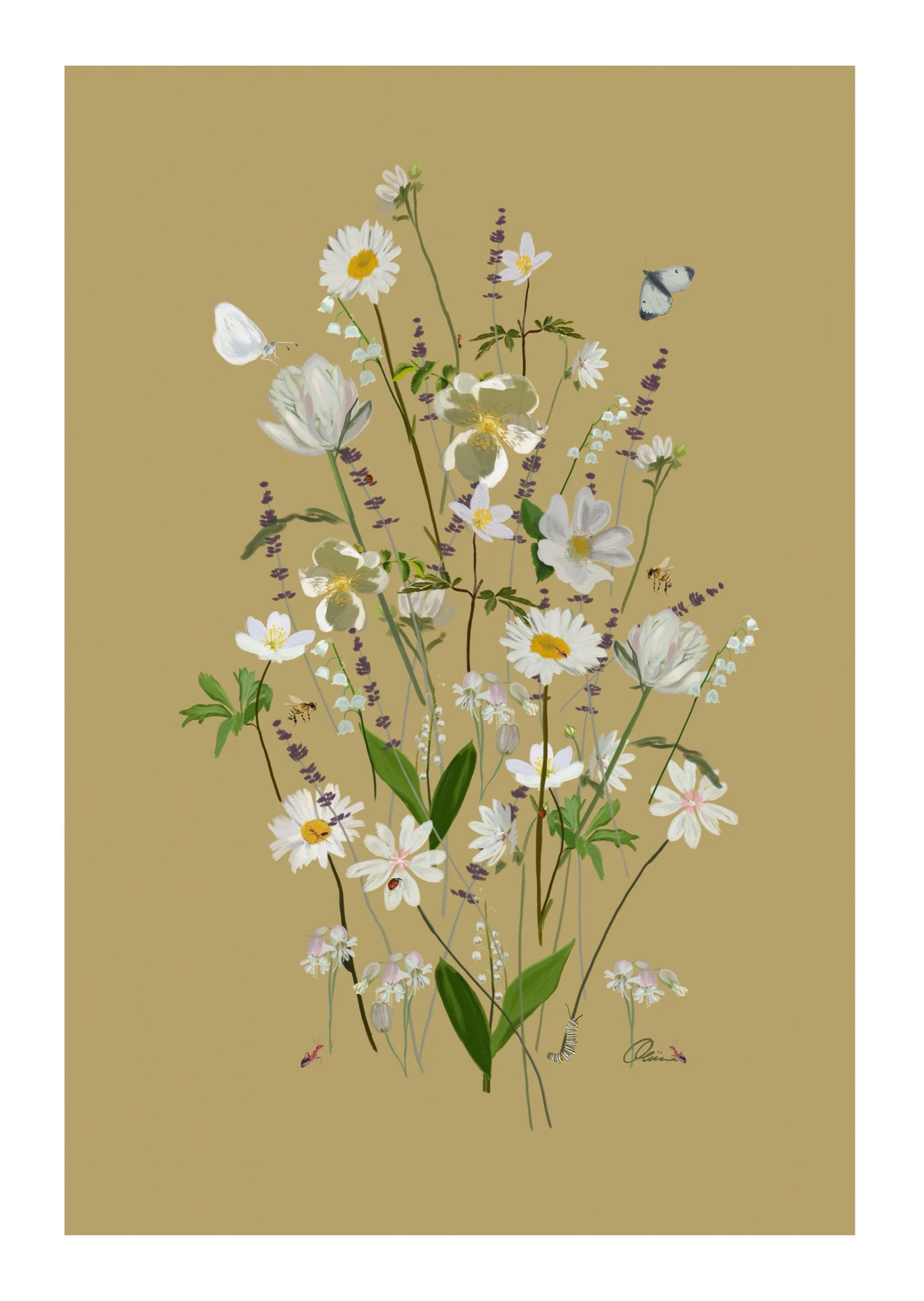 Illustration of a bouquet of white flowers including daisies, lilies, and other blossoms, with various insects like butterflies, bees, and caterpillars buzzing and crawling around.