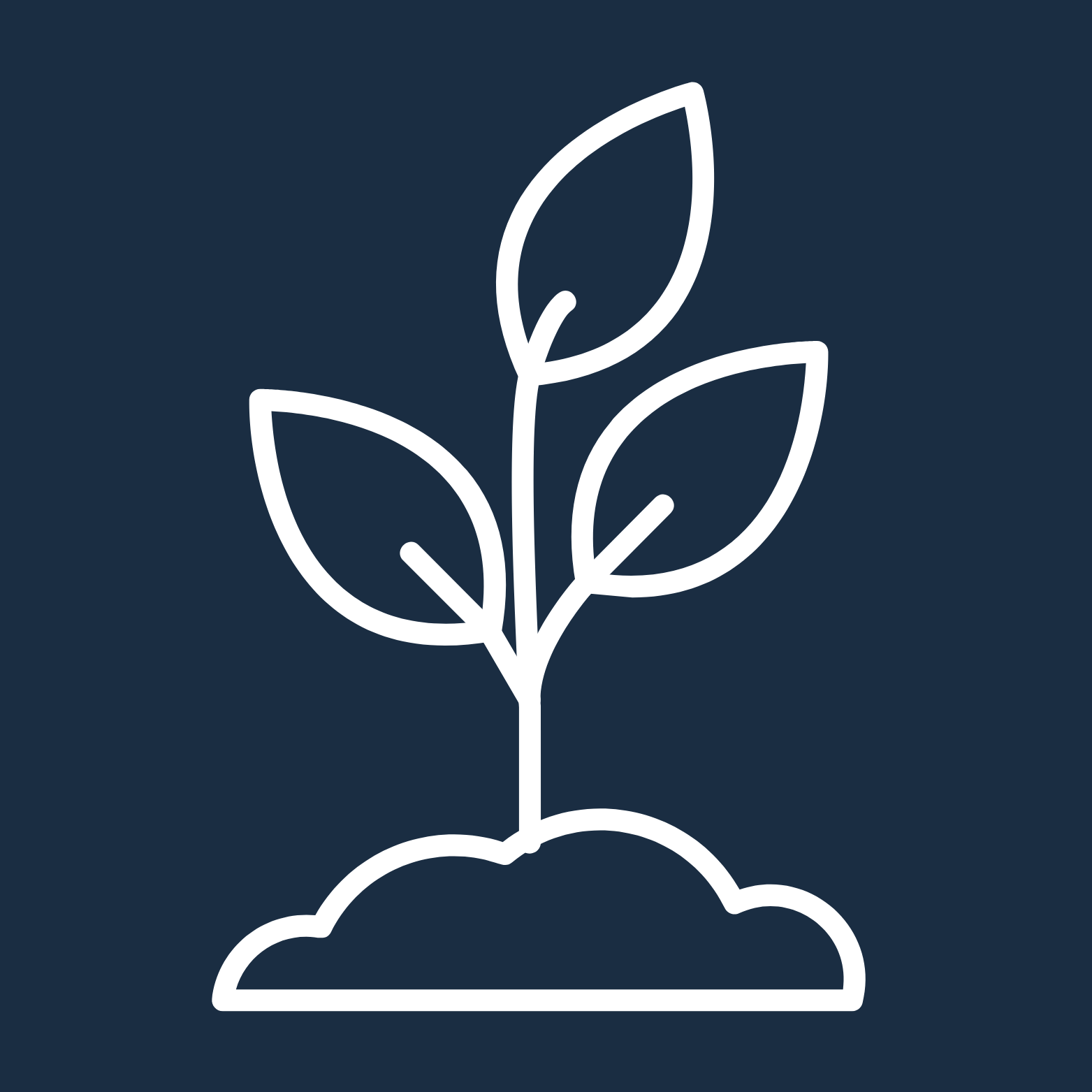 FIELD icon – sprouting plant symbolizing growth, sustainable systems, and cultivating mission impact through healthy rhythms and team collaboration.