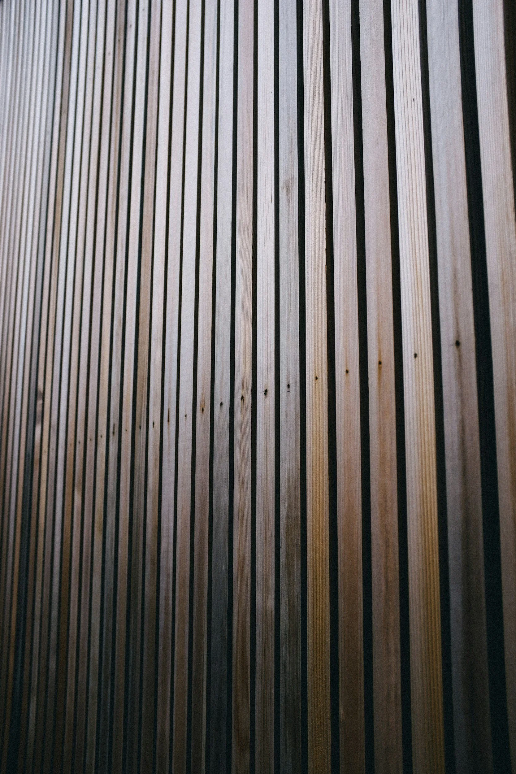 unsplash-image-Y58fbOu4sOs.jpg