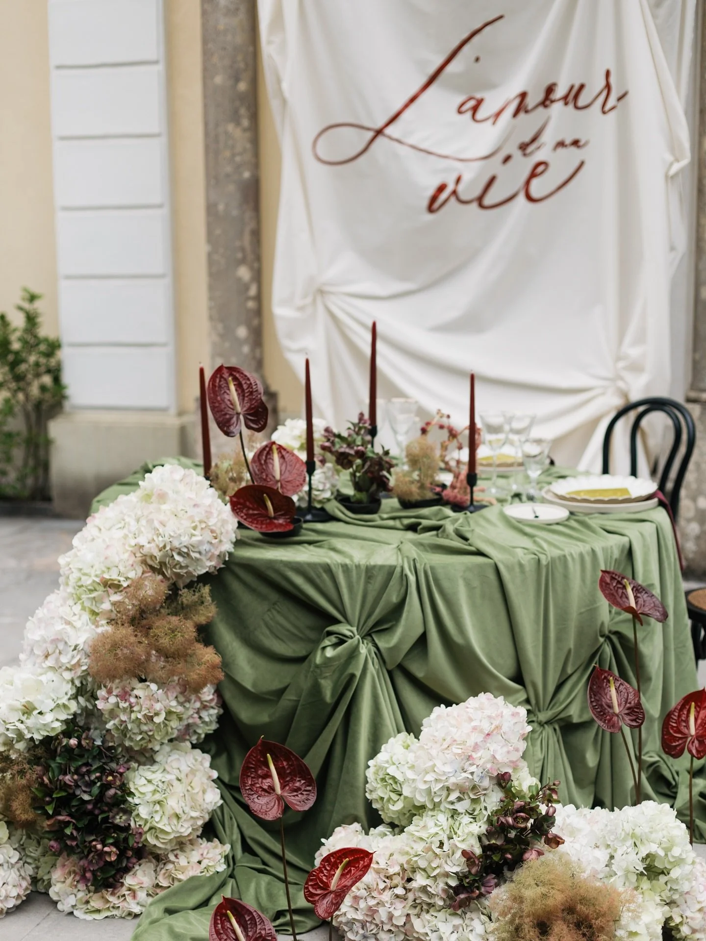 𝘓&rsquo;𝘢𝘮𝘰𝘶𝘳 𝘥𝘢 𝘮𝘦 𝘷𝘪𝘦 &mdash; a quiet love story of modern romance and natural beauty, unfolding gently in the hidden corners of Cam&eacute;lia Gardens, Sintra Portugal 

Planner + Designer: @eventsbyzeiry 
Venue: @cameliagardens 
Phot