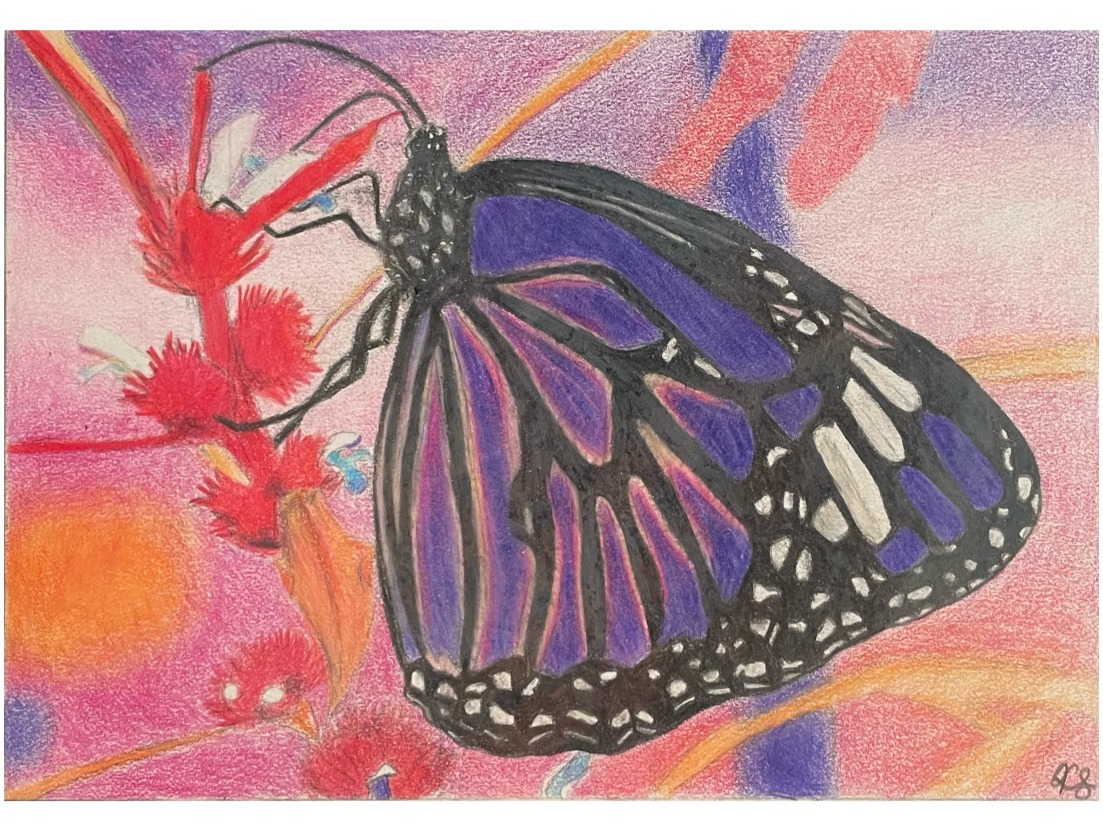Mariposa |
Colored Pencil on Canvas |
2020
