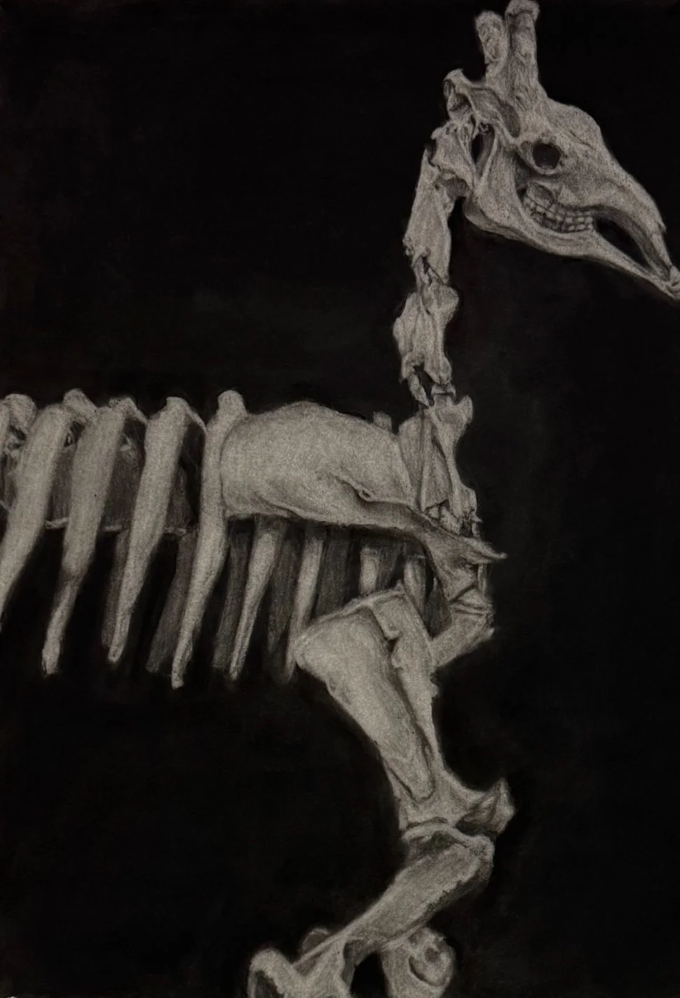 Nessie |
Reductive Charcoal on Paper |
2024