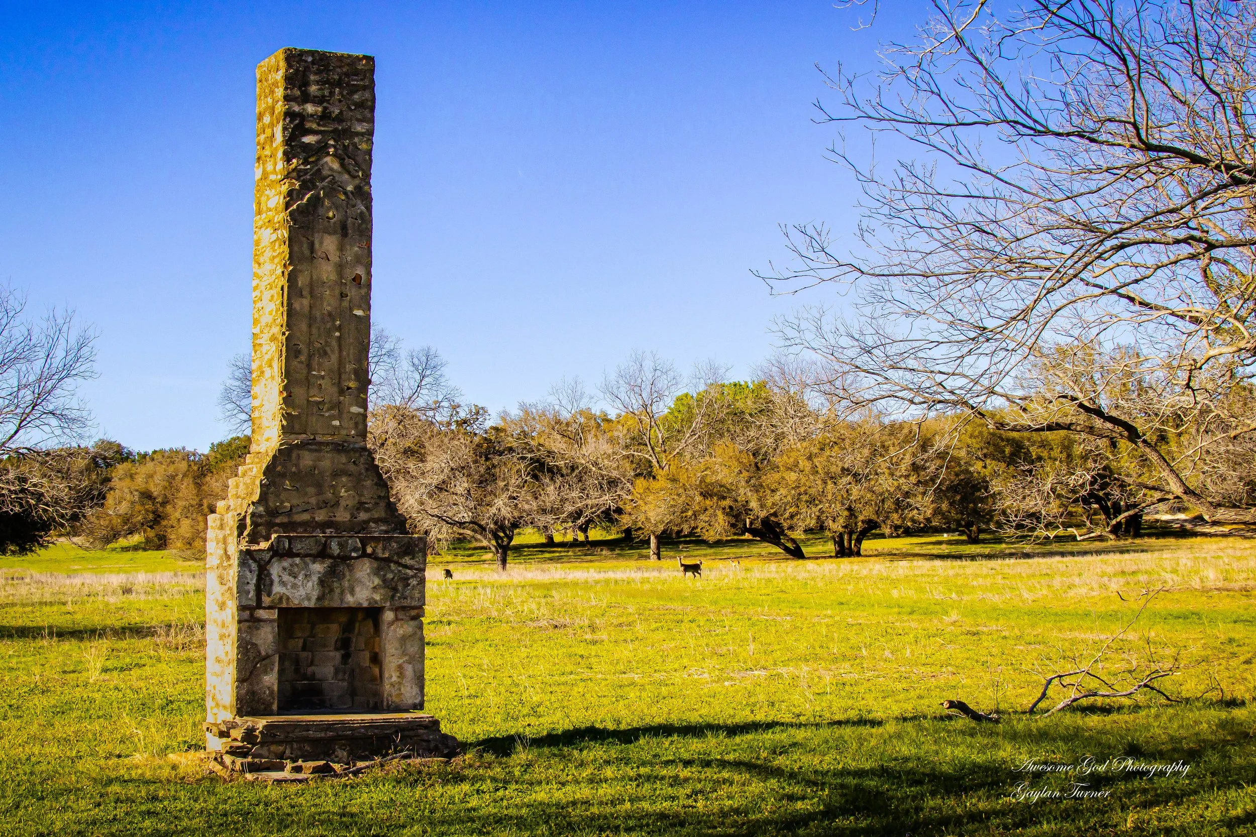 Chimney With no Home channel 8 (1 of 1).jpg