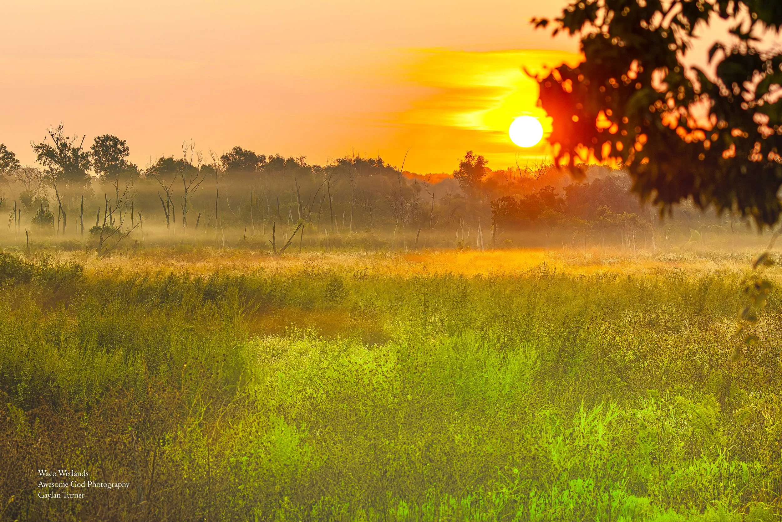 Wetlands Sunrise latest channel 8  (1 of 1).jpg