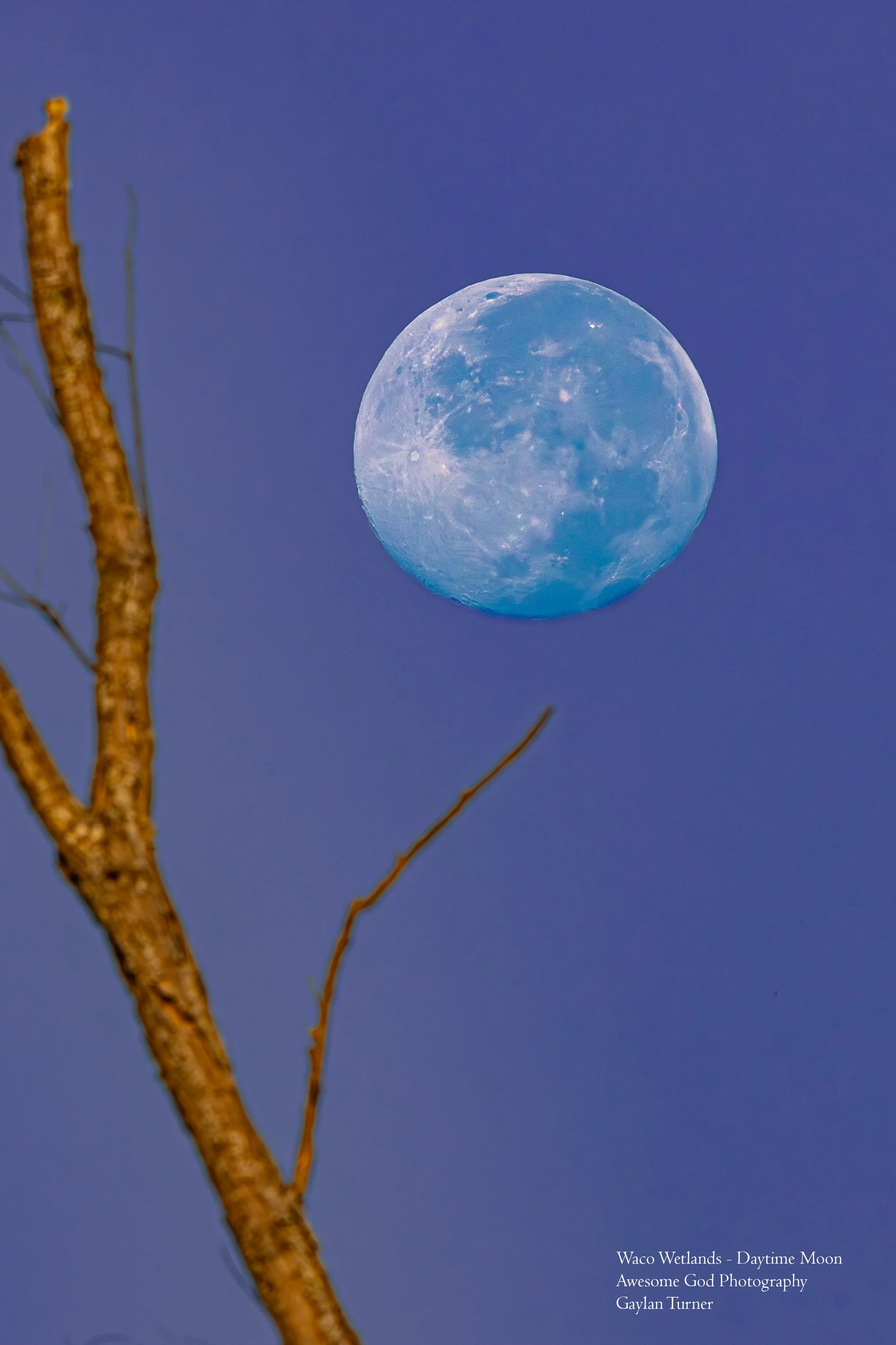 Waco Wetlands Daytime Moon 2.jpg