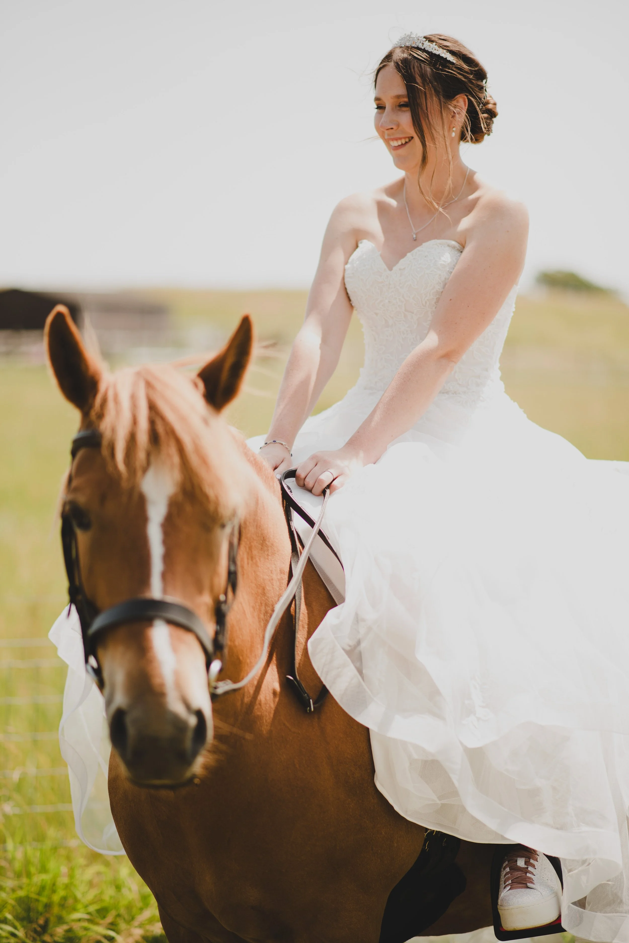 A bride wearing a white wedding dress and a tiara, riding a brown horse in an open field on a sunny day.