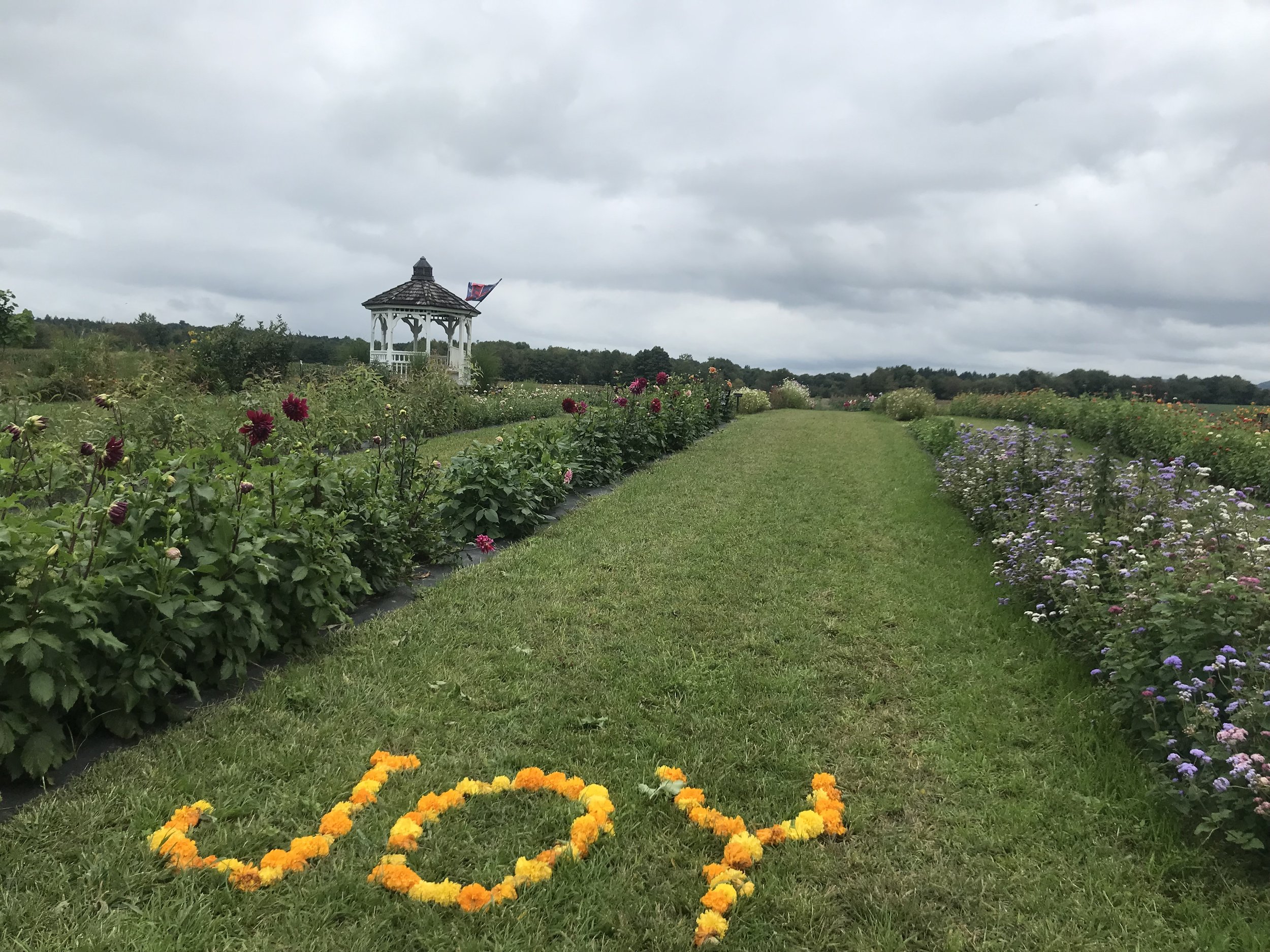 A lush garden with colorful flowers, a grassy pathway, a white gazebo with a flag, against a cloudy sky.