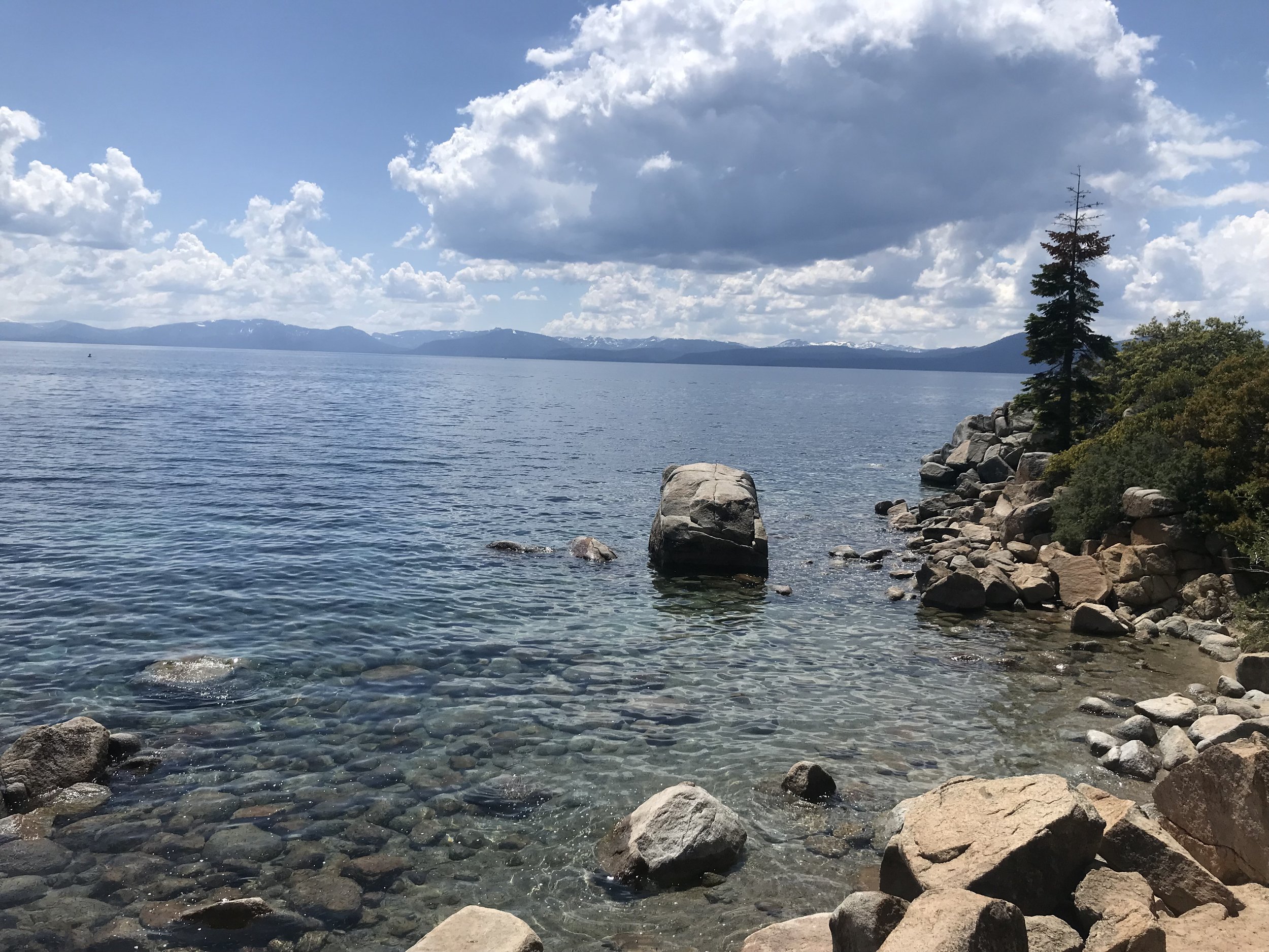 A lakeshore scene with clear water and smooth rocks in the foreground, a tree on the right, and distant mountain range under partly cloudy sky.