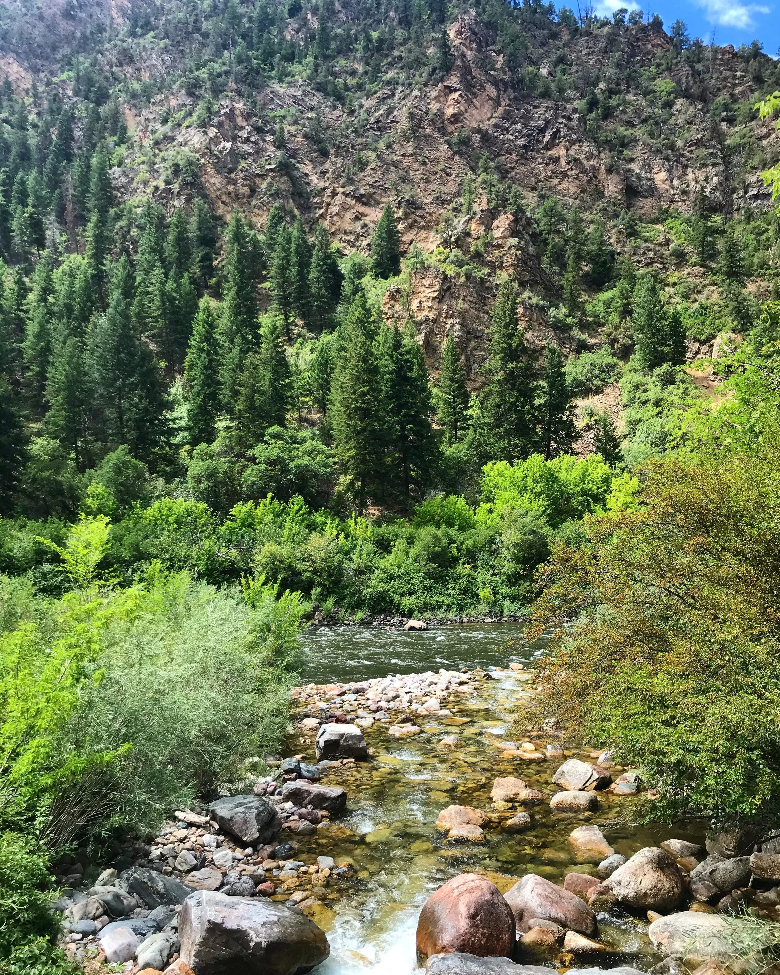 A mountain river flowing through a lush green forest with rocky terrain and steep mountain slopes in the background.