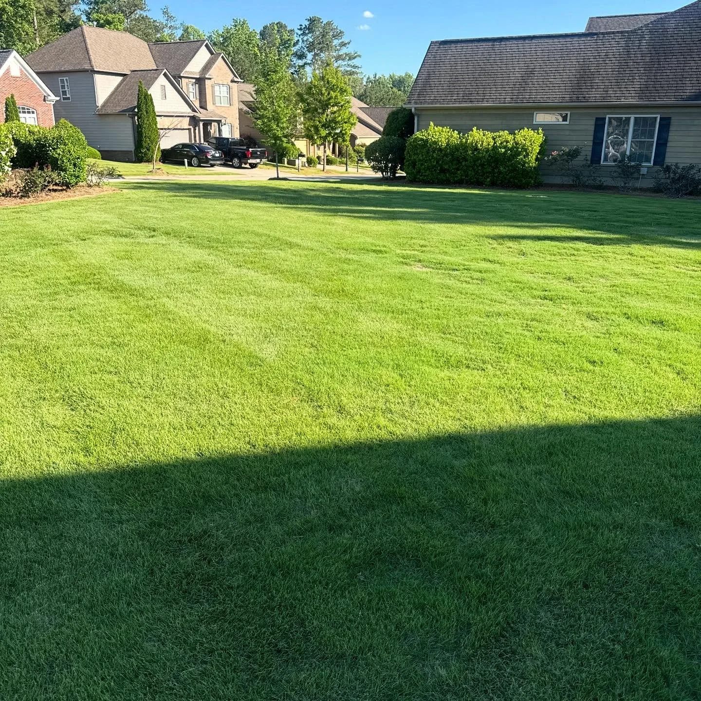 We provide turf treatment and fertilization services for multiple HOAs. Here&rsquo;s a look at a common area in one of them. Pristine.