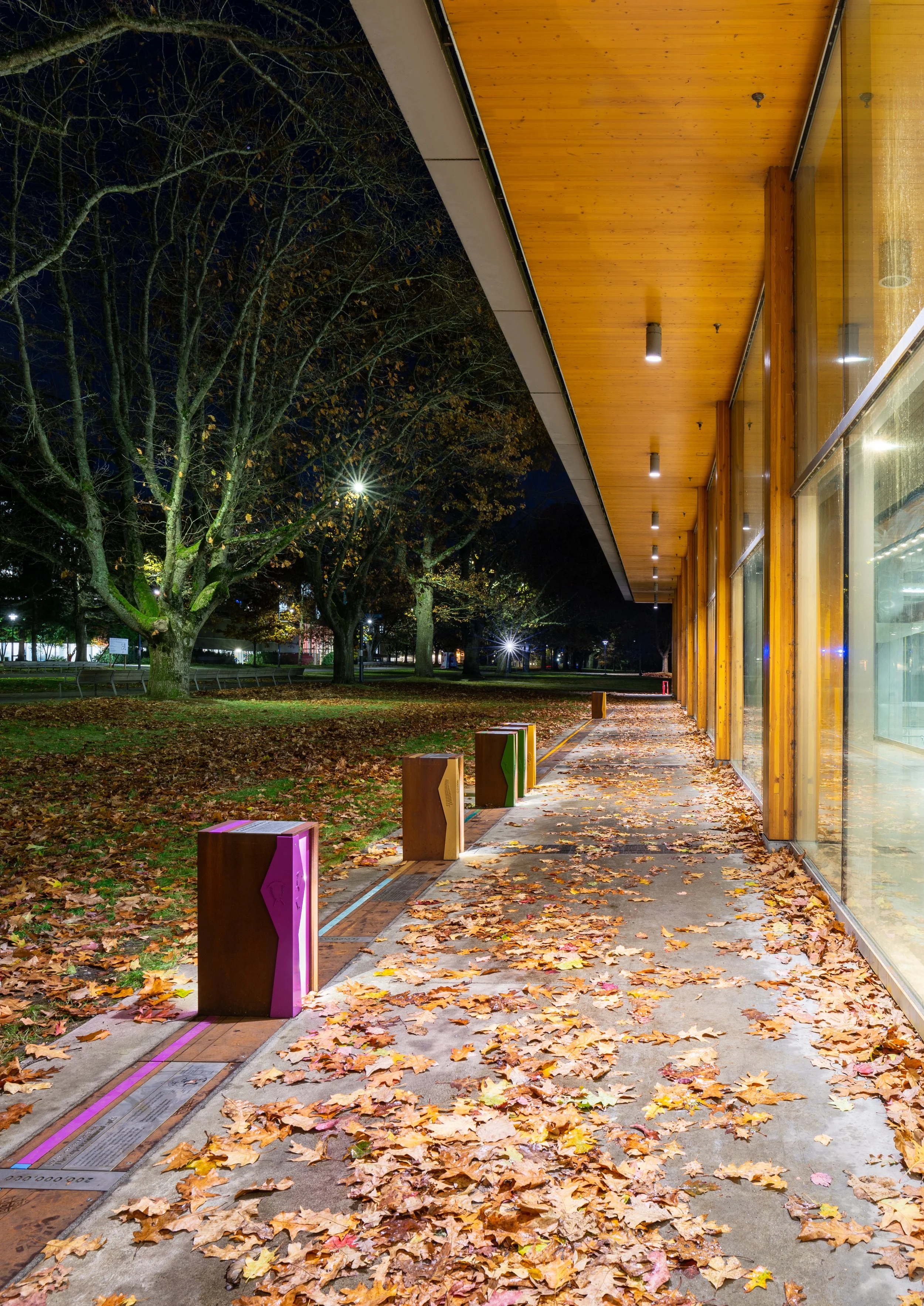 2019-WalkTTime-UBC20221114_0007.jpg