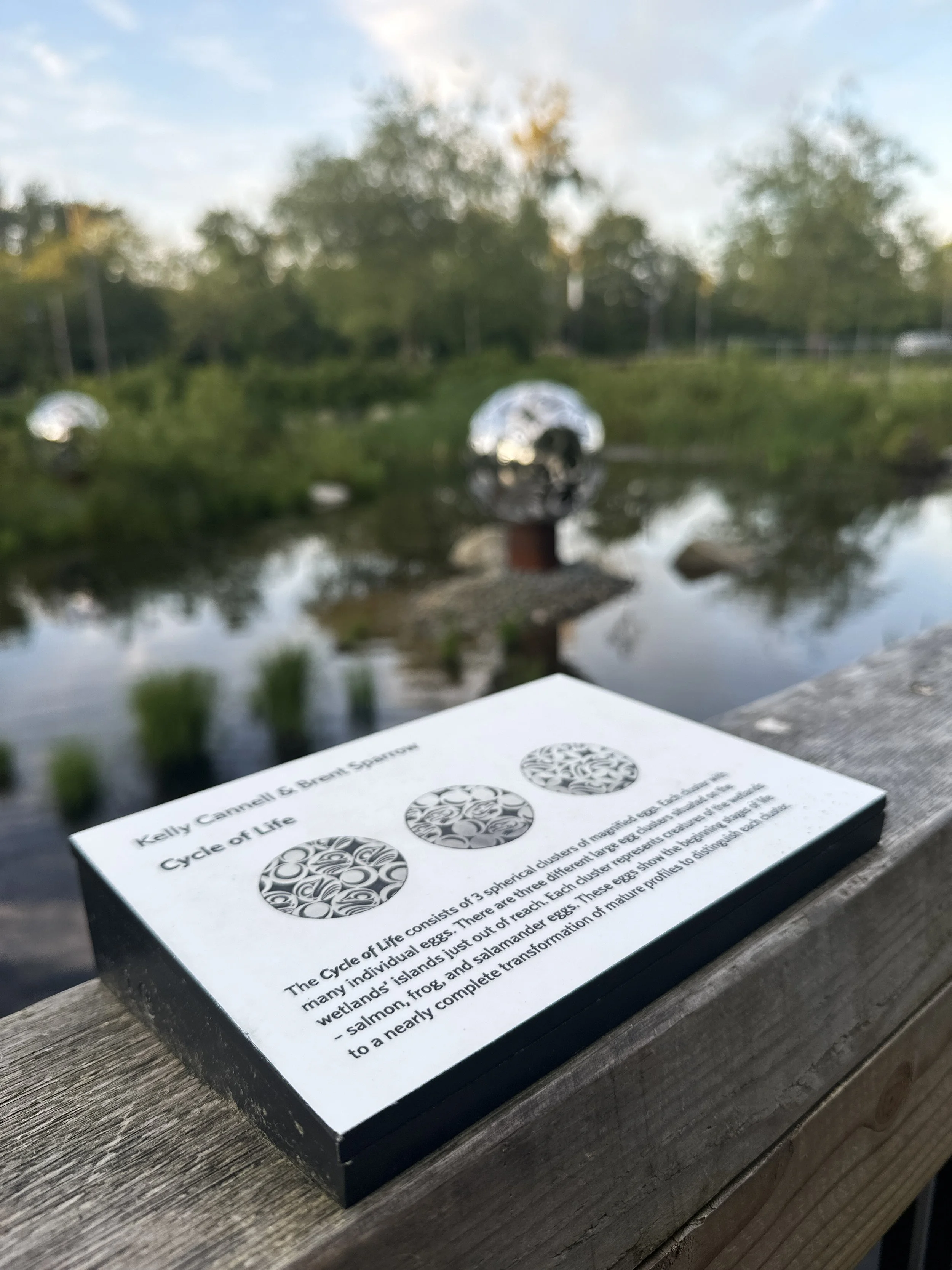 2221 leləm̓-2-lelem.jpg