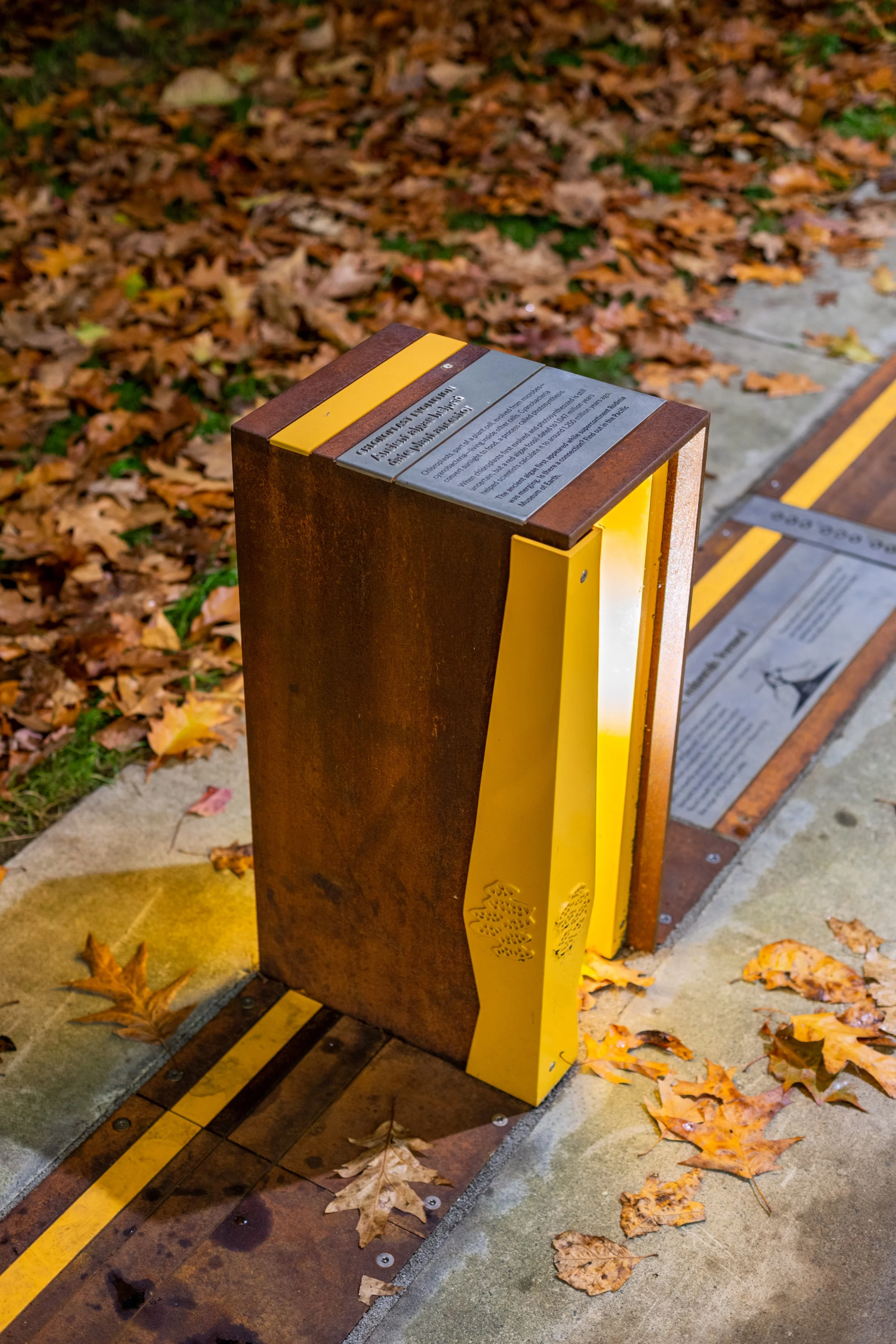 2019-WalkTTime-UBC20221114_0005.jpg