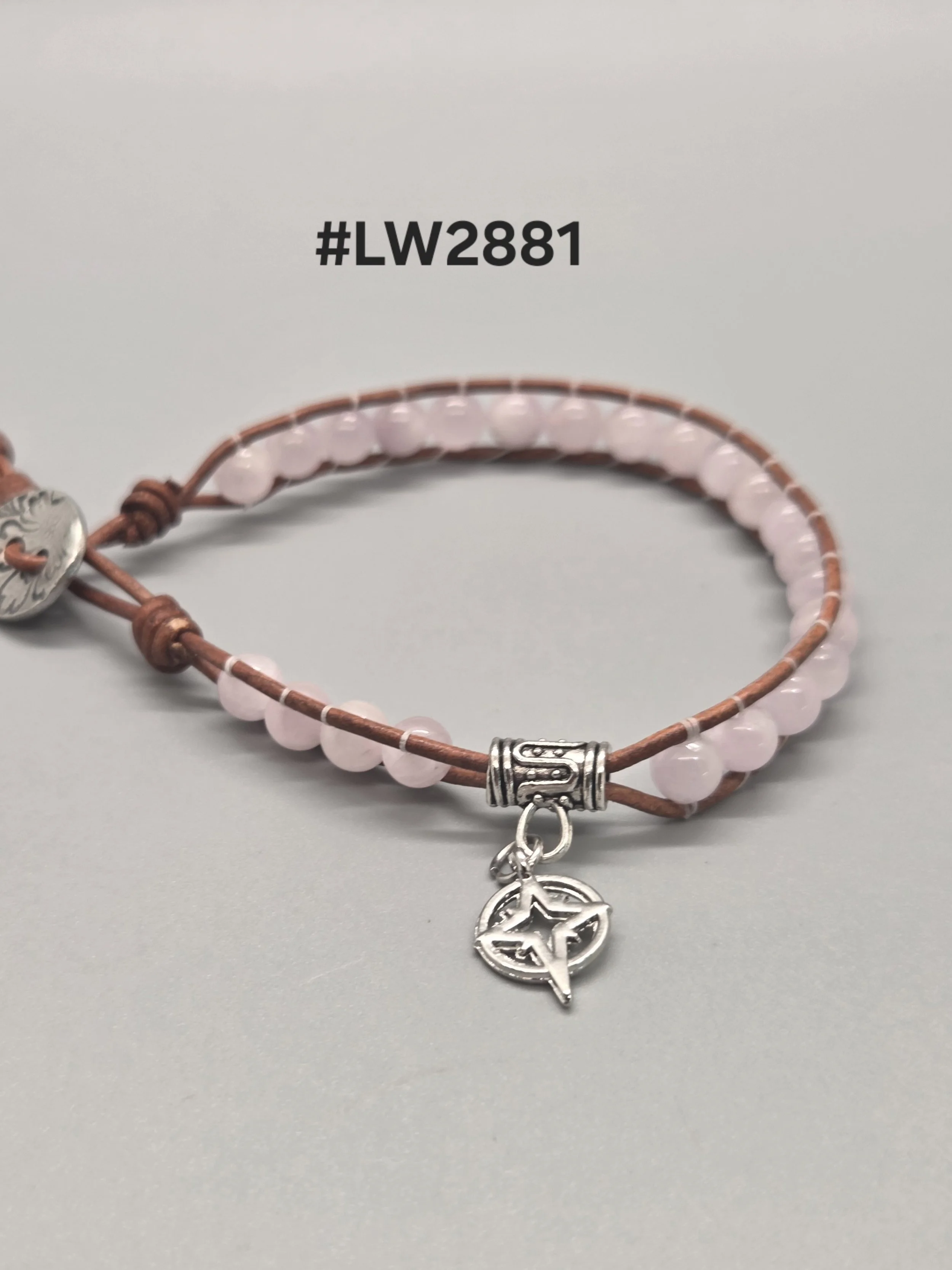 lw2881.jpg