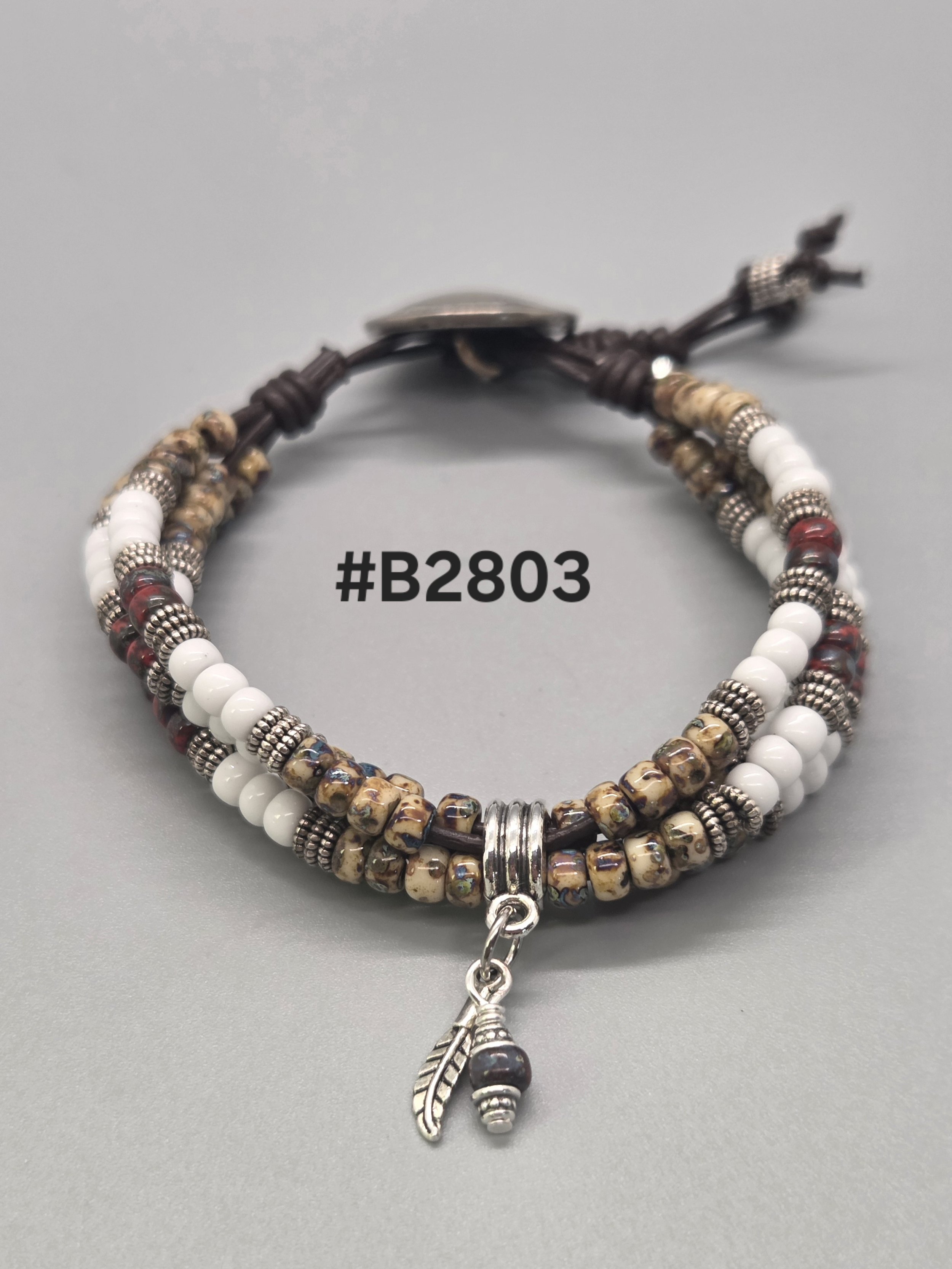 b2803.jpg