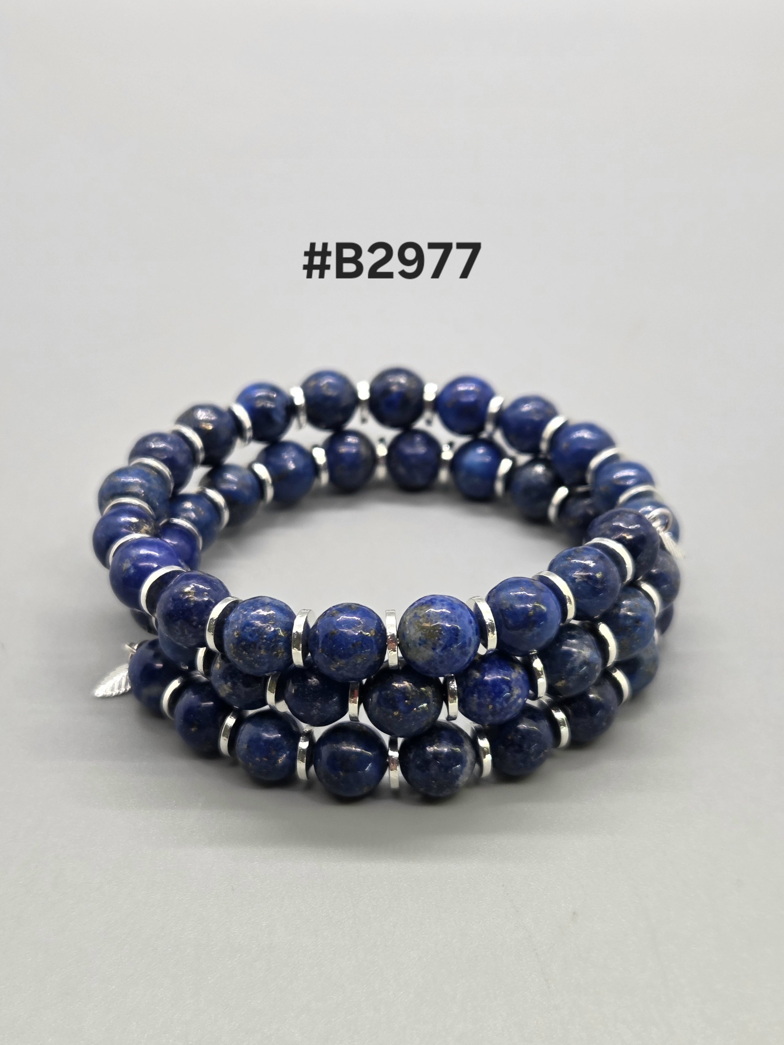 b2977.jpg
