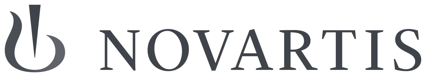 Logo of Novartis with a stylized black and gray emblem resembling a flame or leaf to the left of the company name.