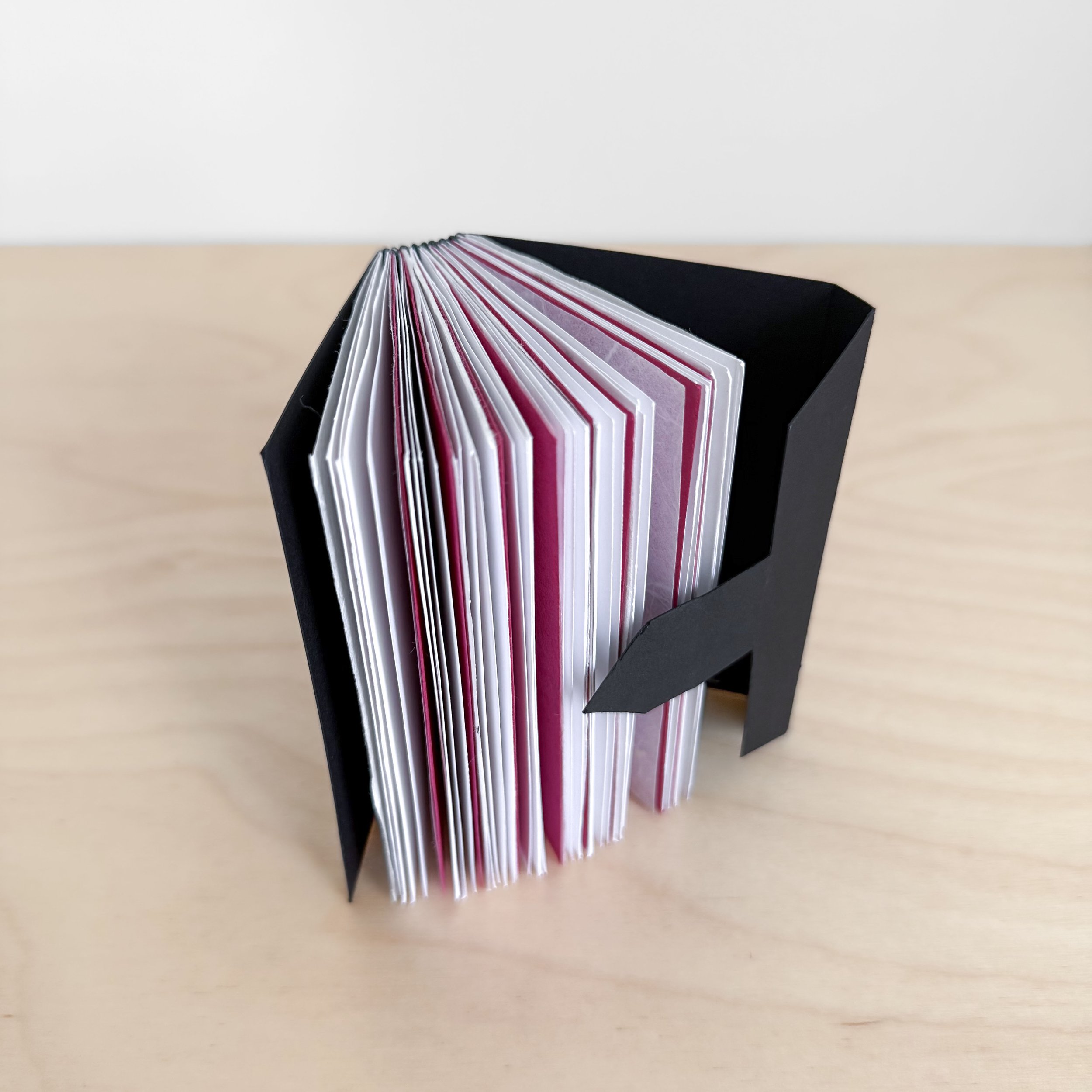 Megan Cronkite I2.jpeg