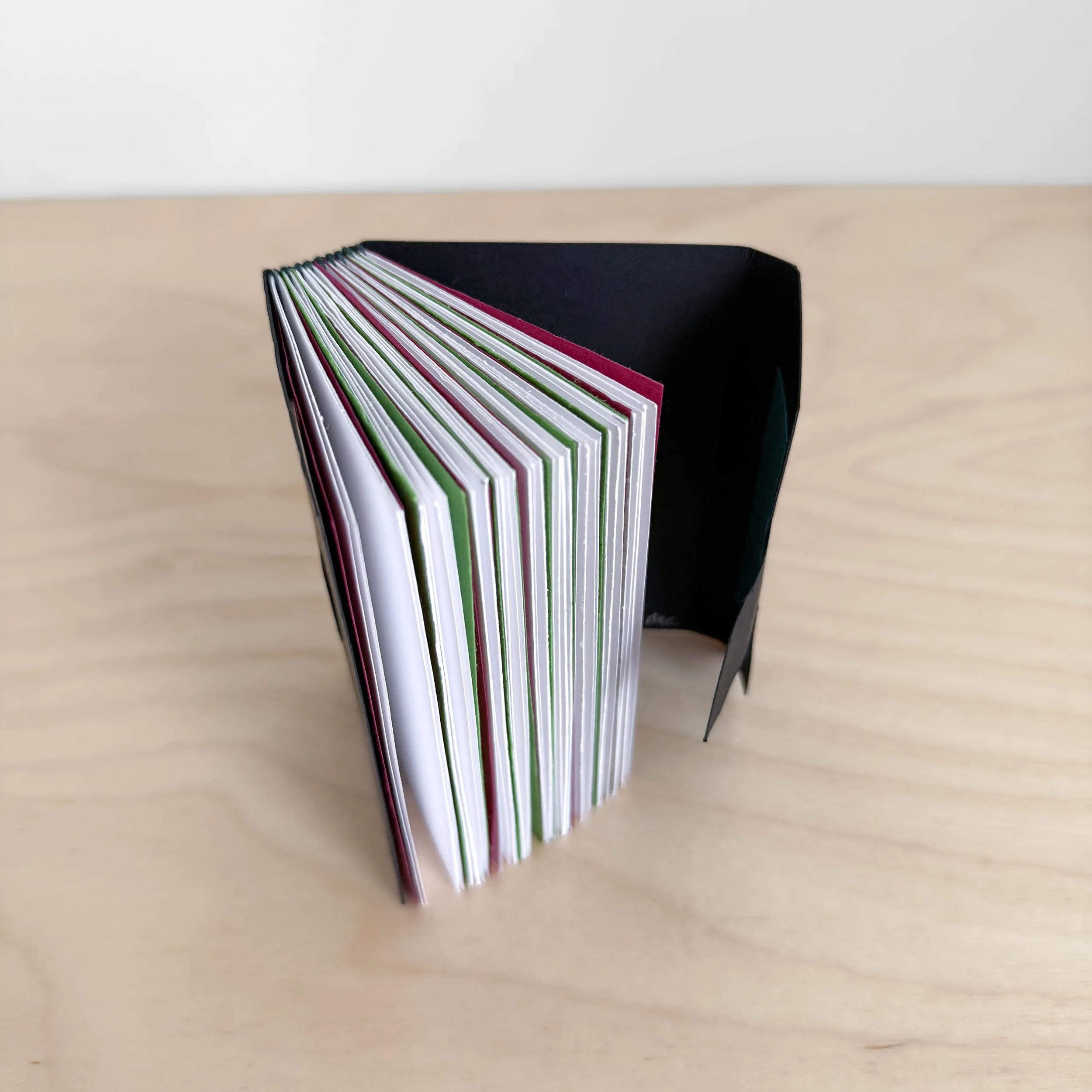 Megan Cronkite F3.jpeg