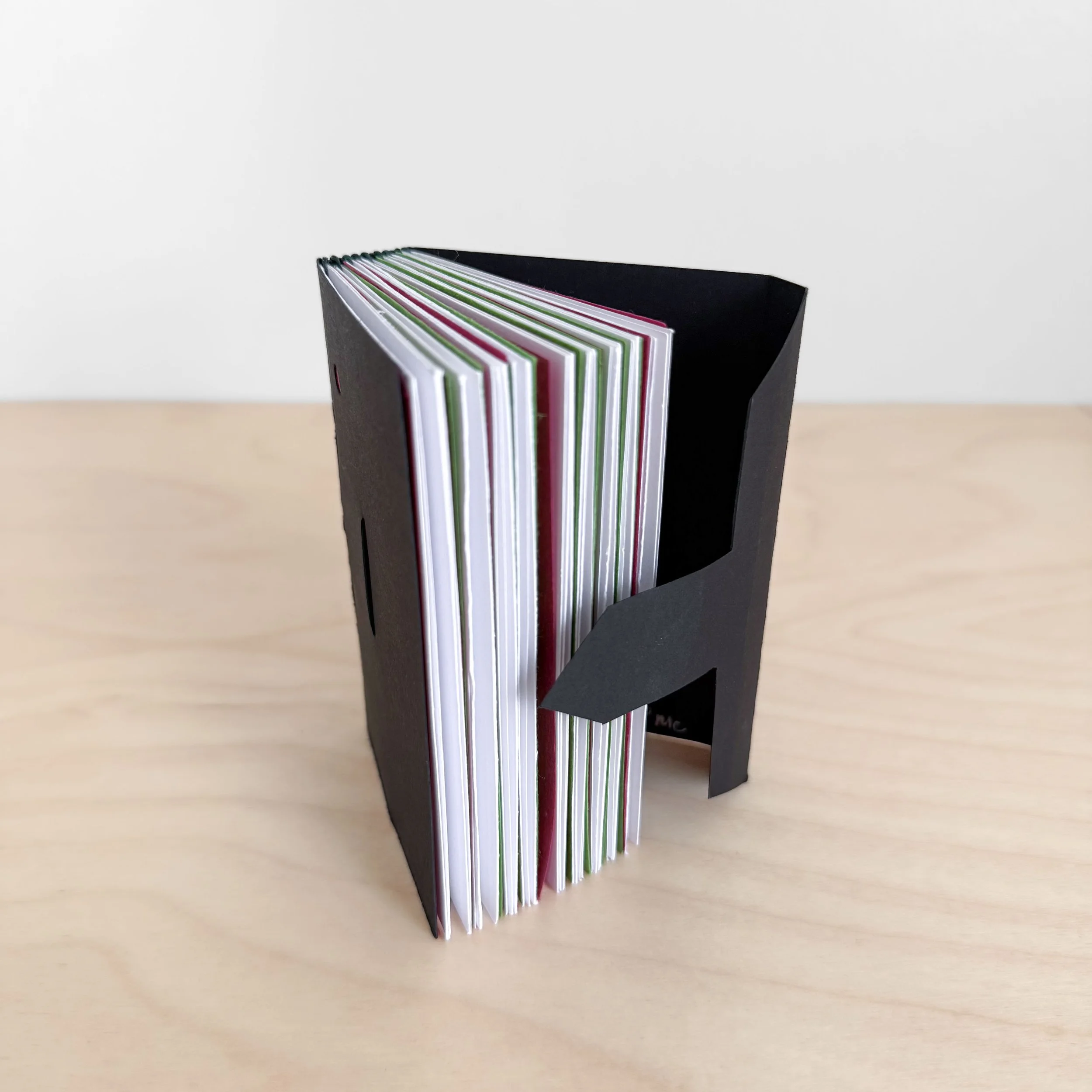 Megan Cronkite G2.jpeg