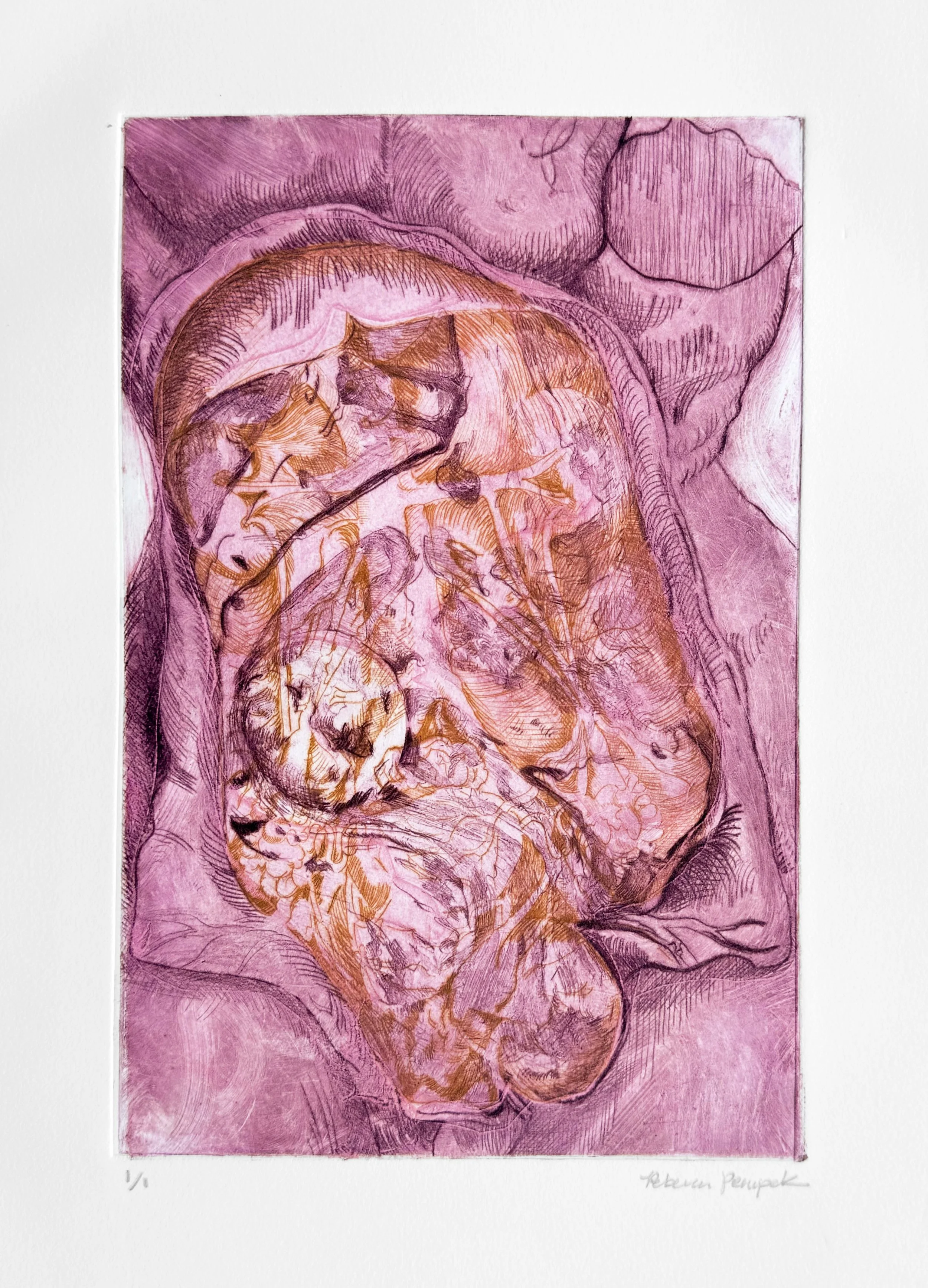 Cover Image © Rebecca Pempek