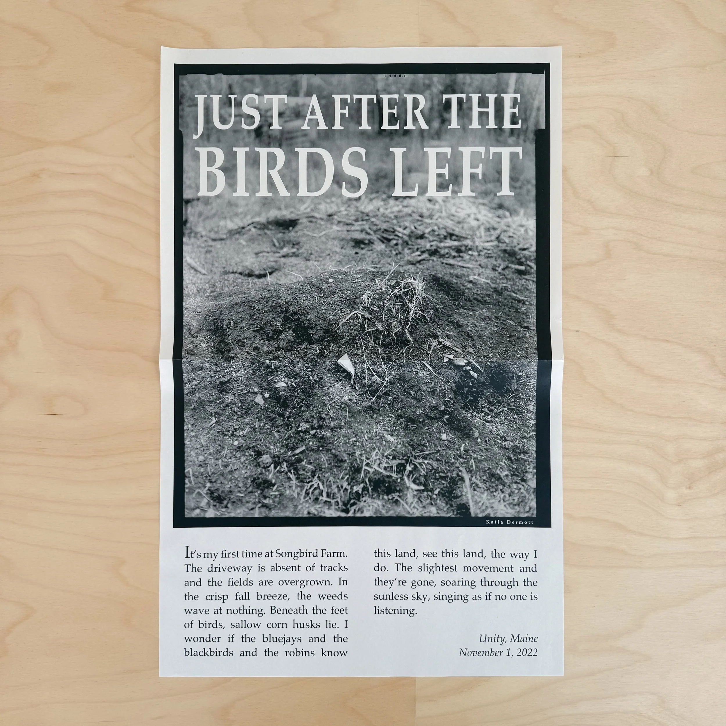 Just After the Birds Left Newsprint Poster