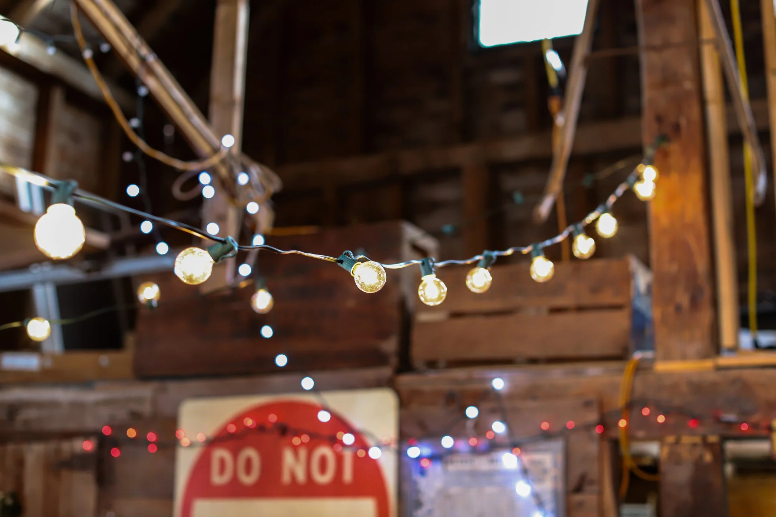 © Gigi Bee Photography