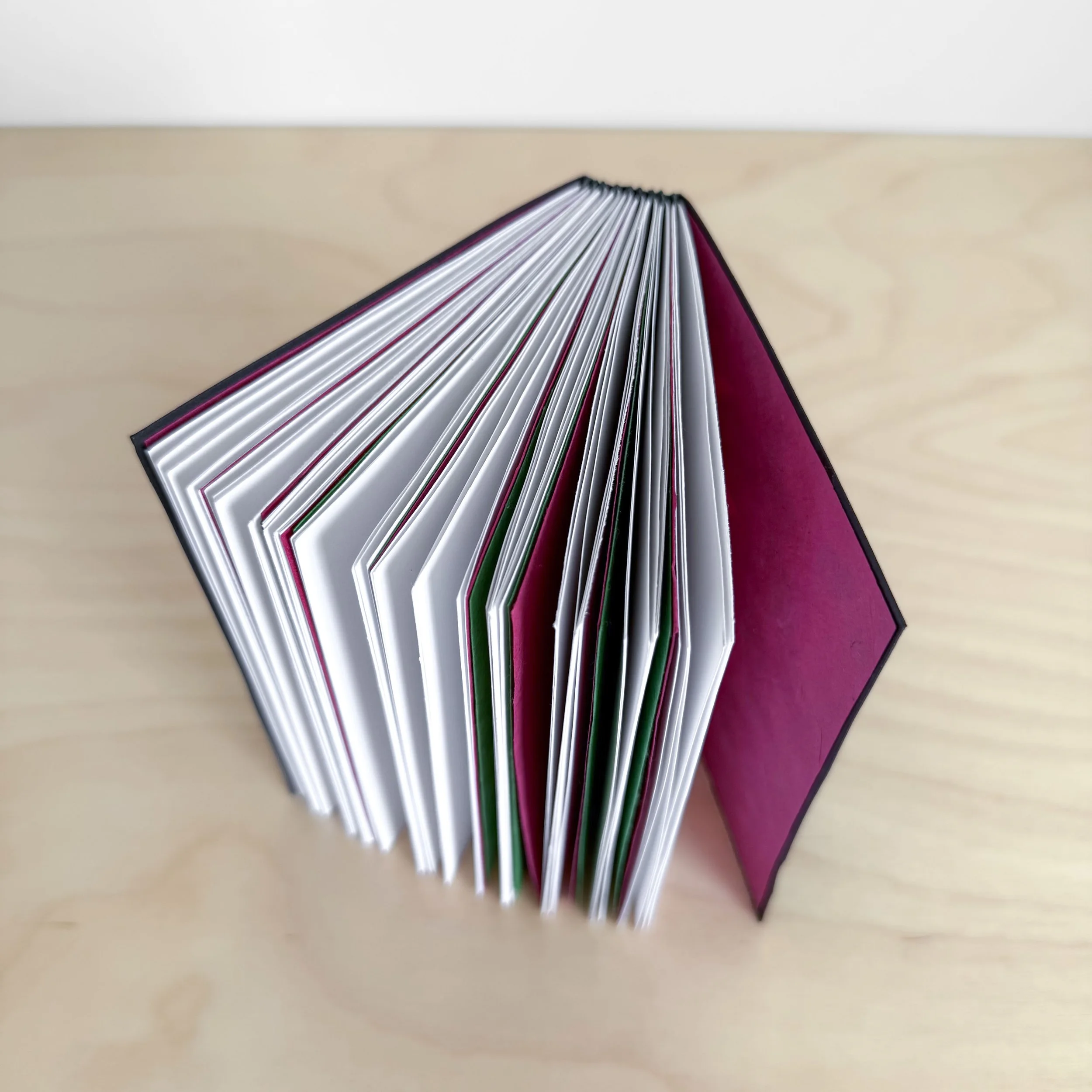 Megan Cronkite B2.jpeg