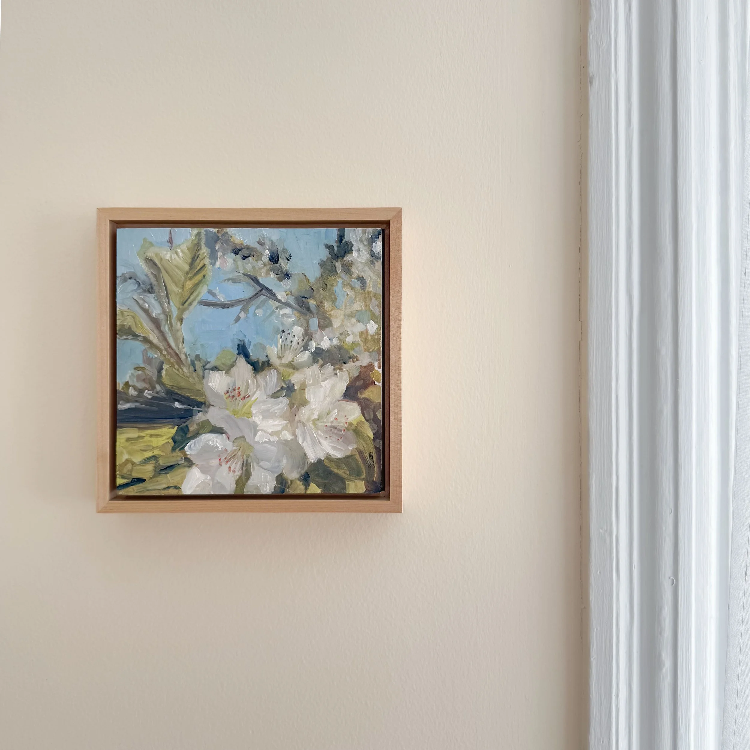 The Apple Blossoms of West Tremont