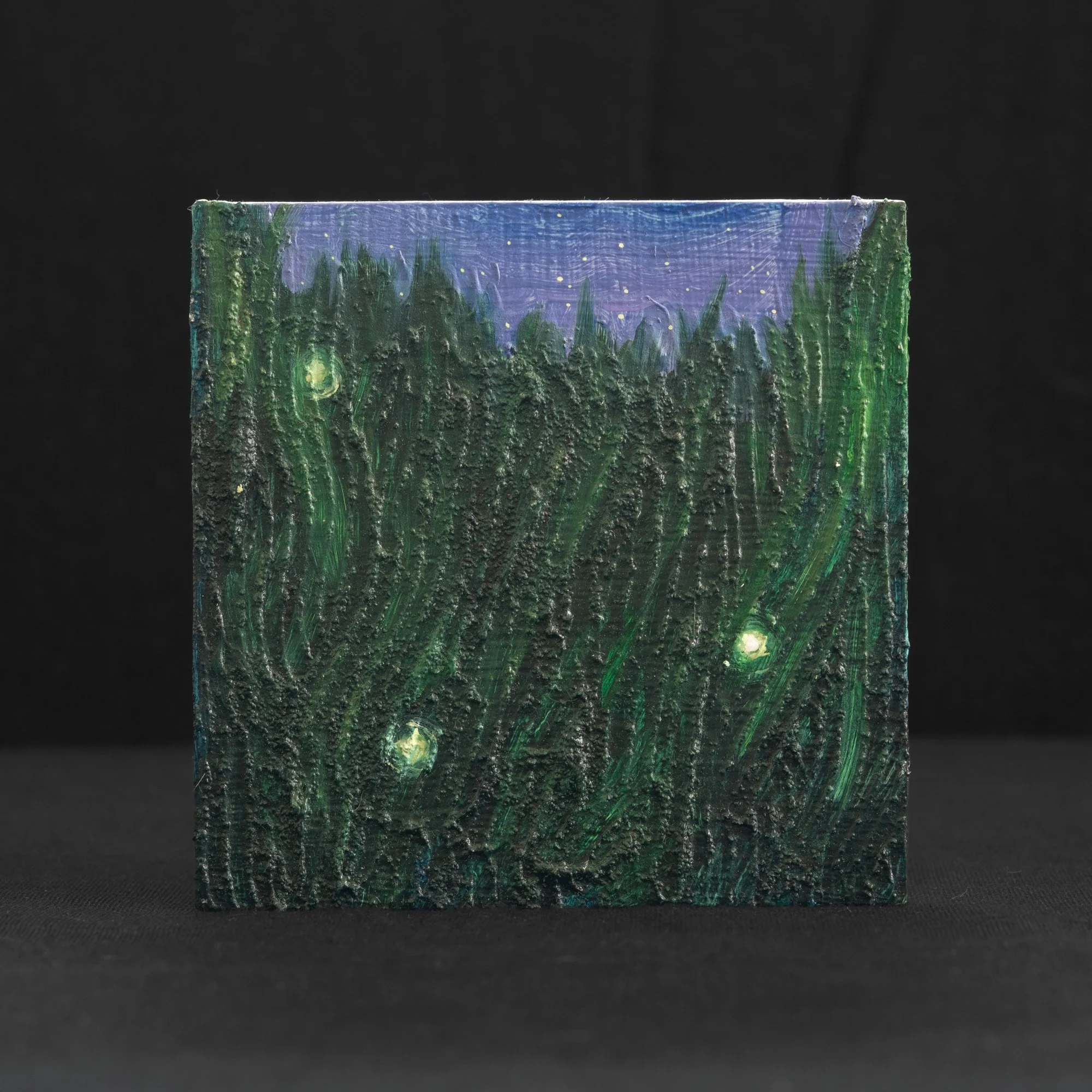The Feeling of Fireflies by Raquel P. Miller
