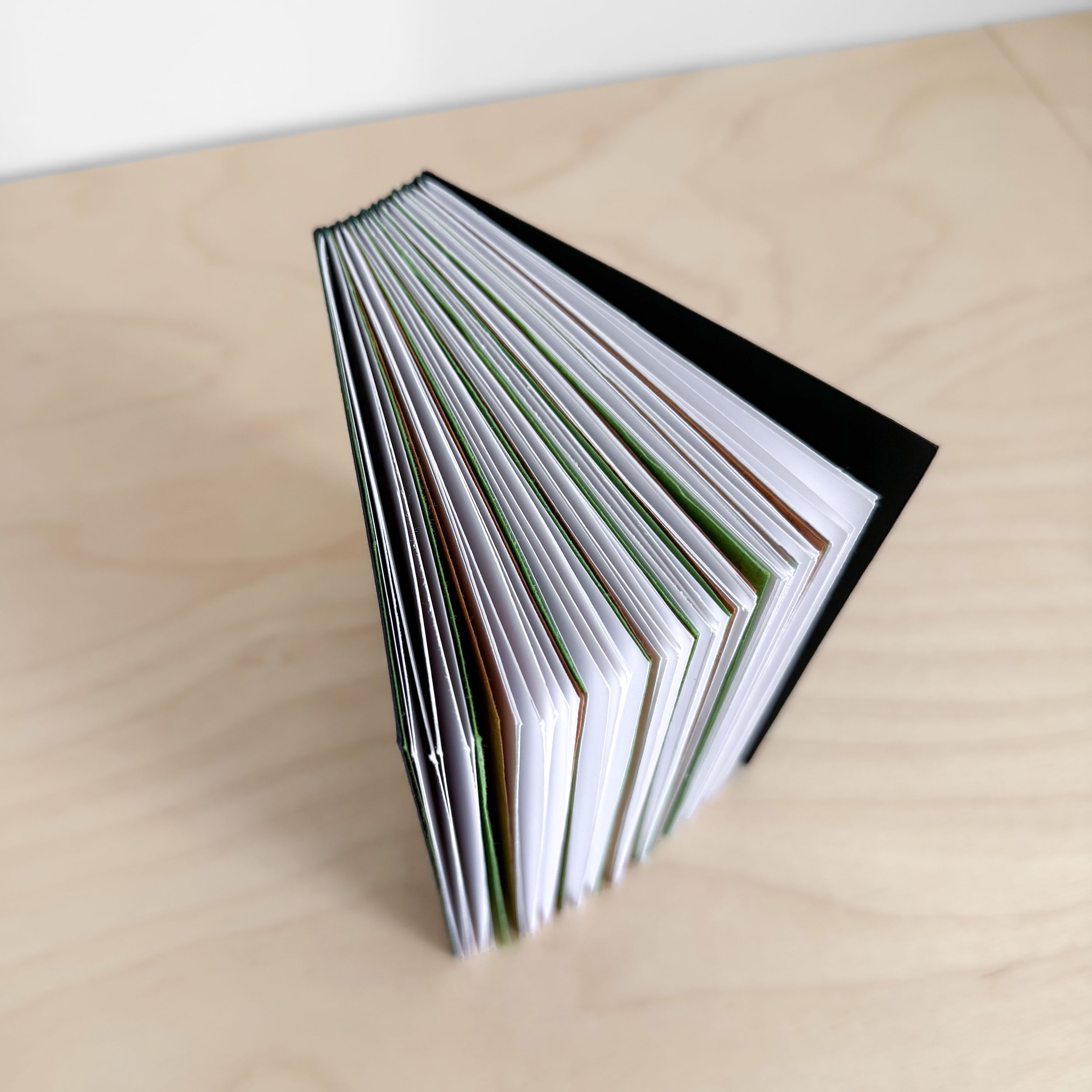 Megan Cronkite D2.jpeg