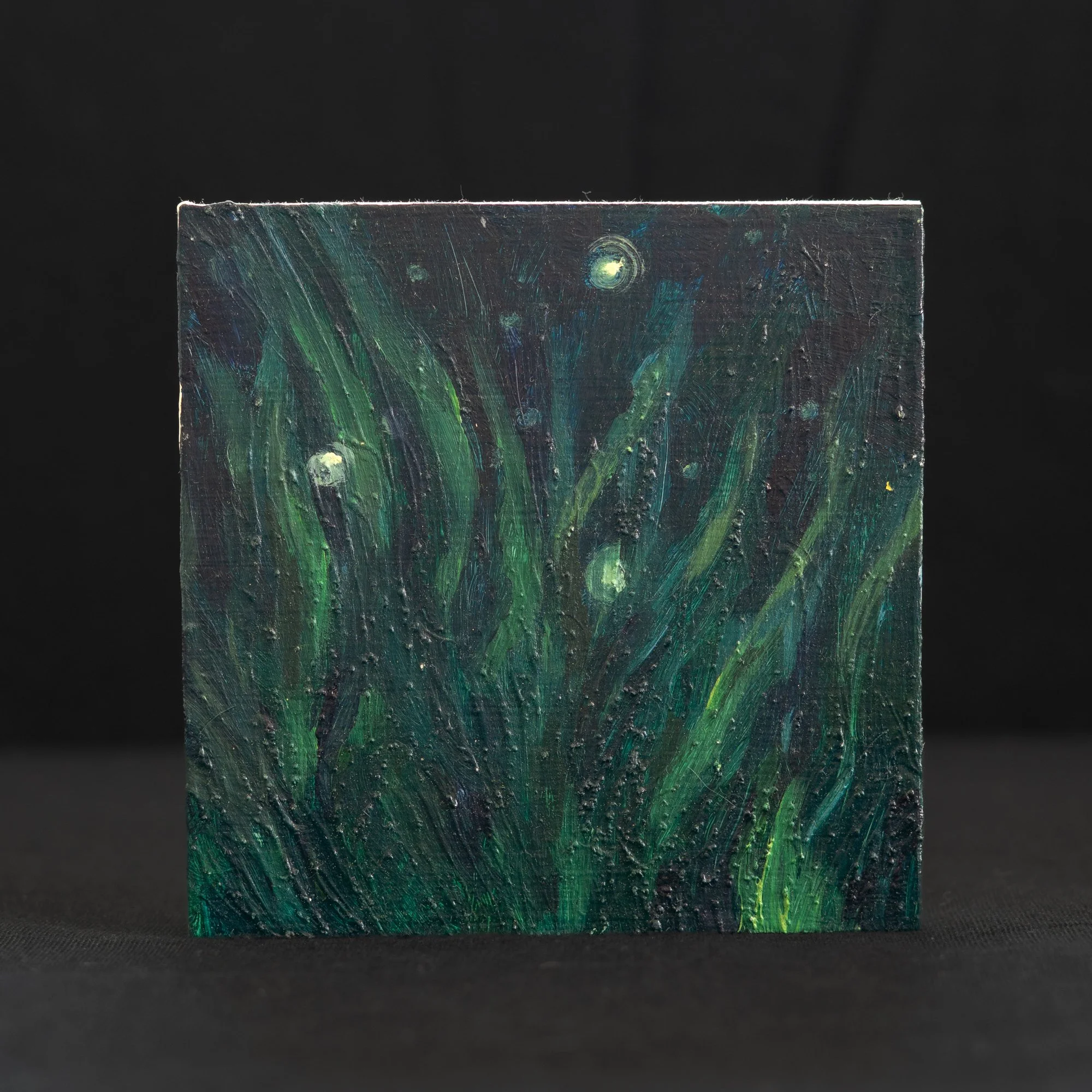 The Fireflies Rising by Raquel P. Miller