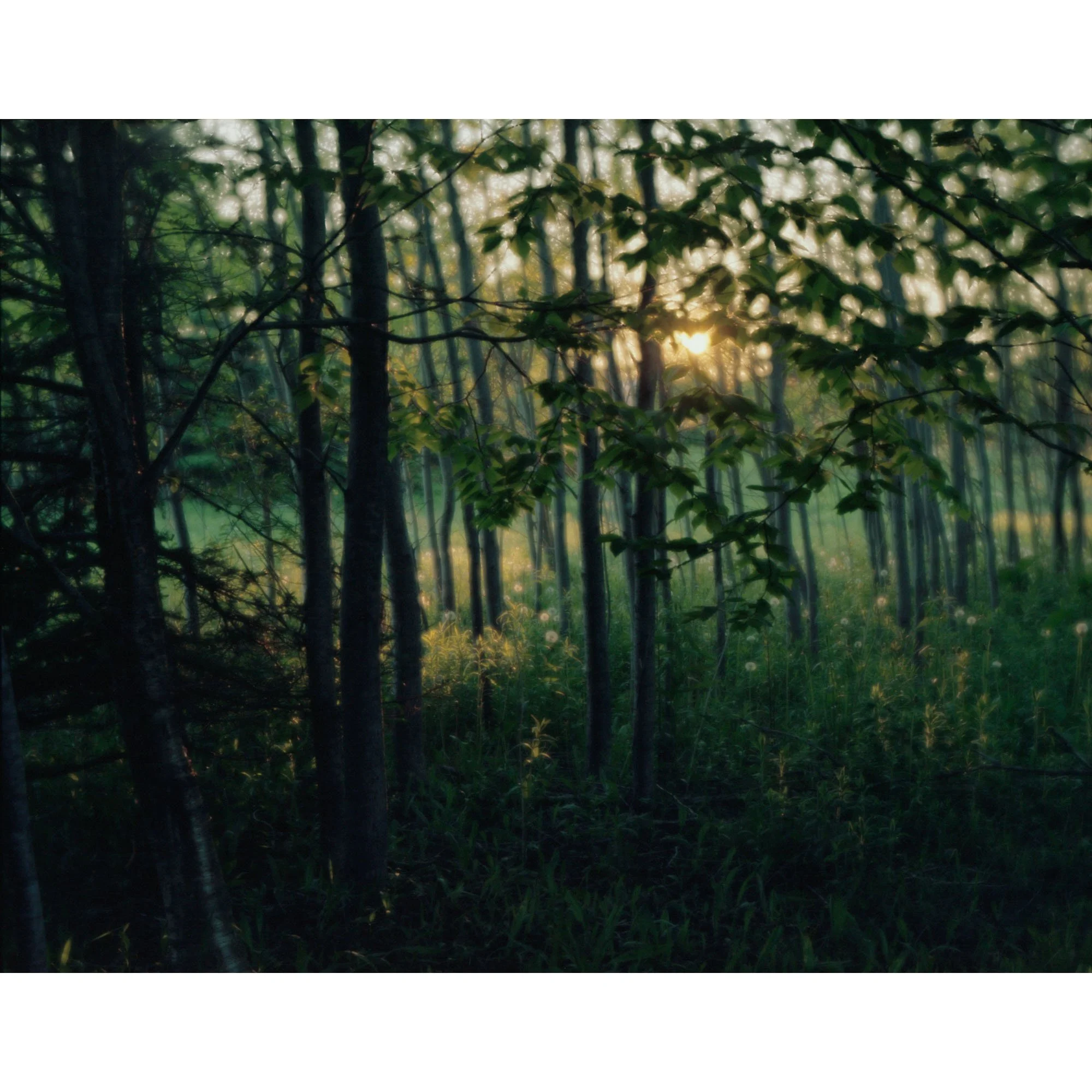 July2024094_a.jpg