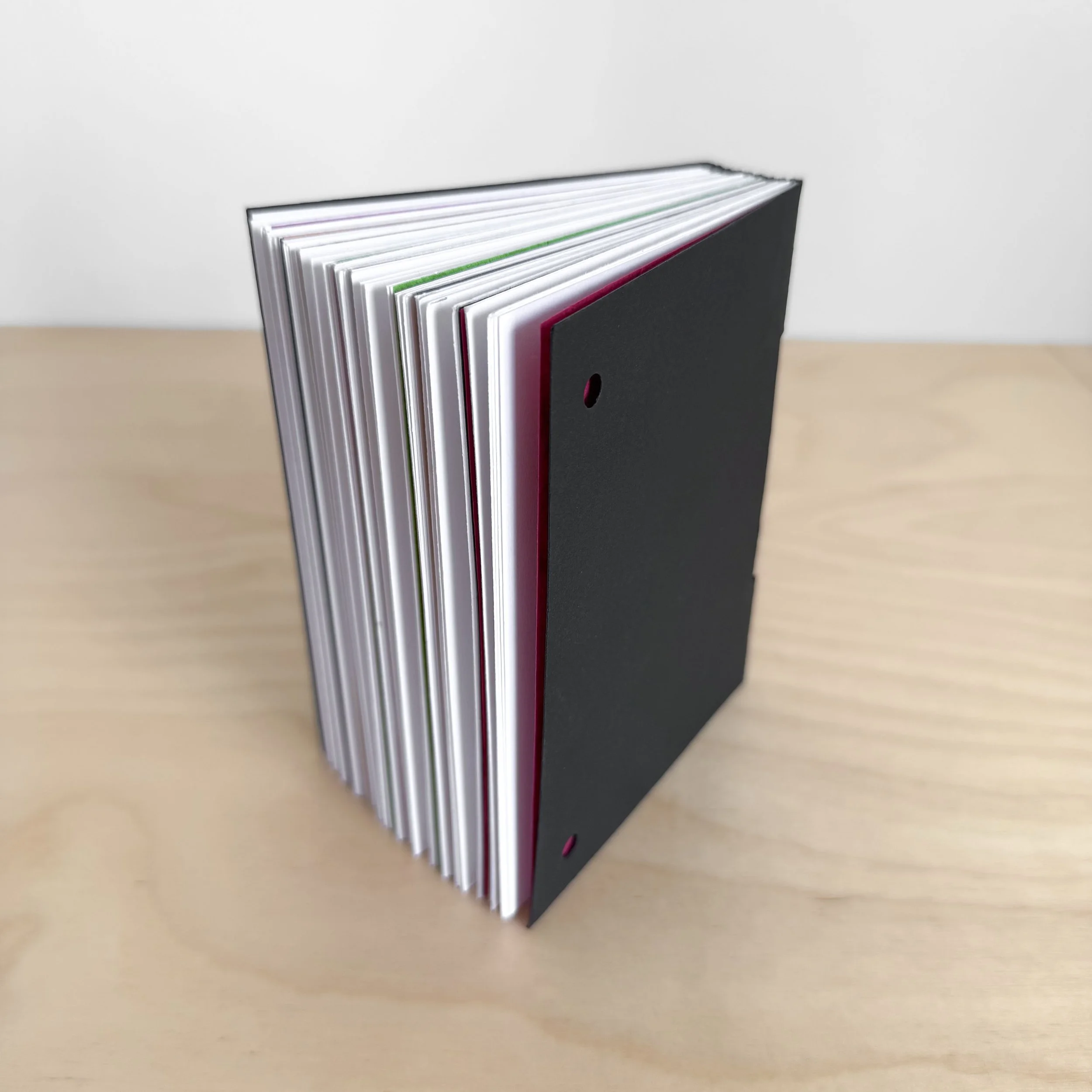 Megan Cronkite A2.jpeg