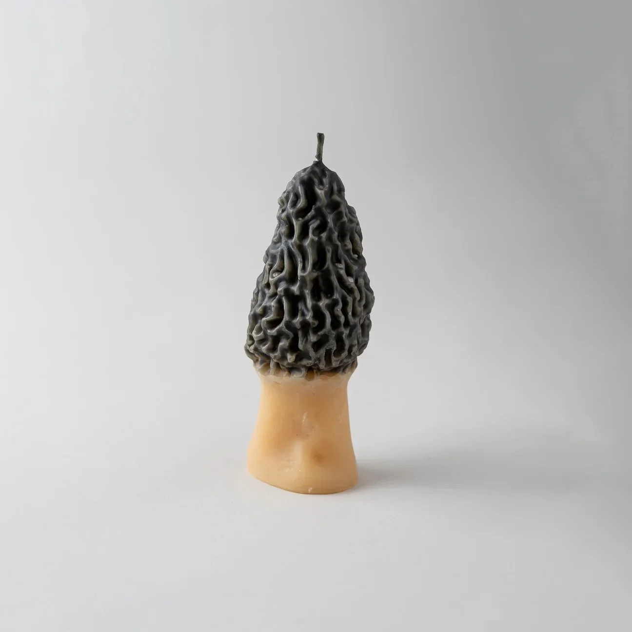 Morel Candle