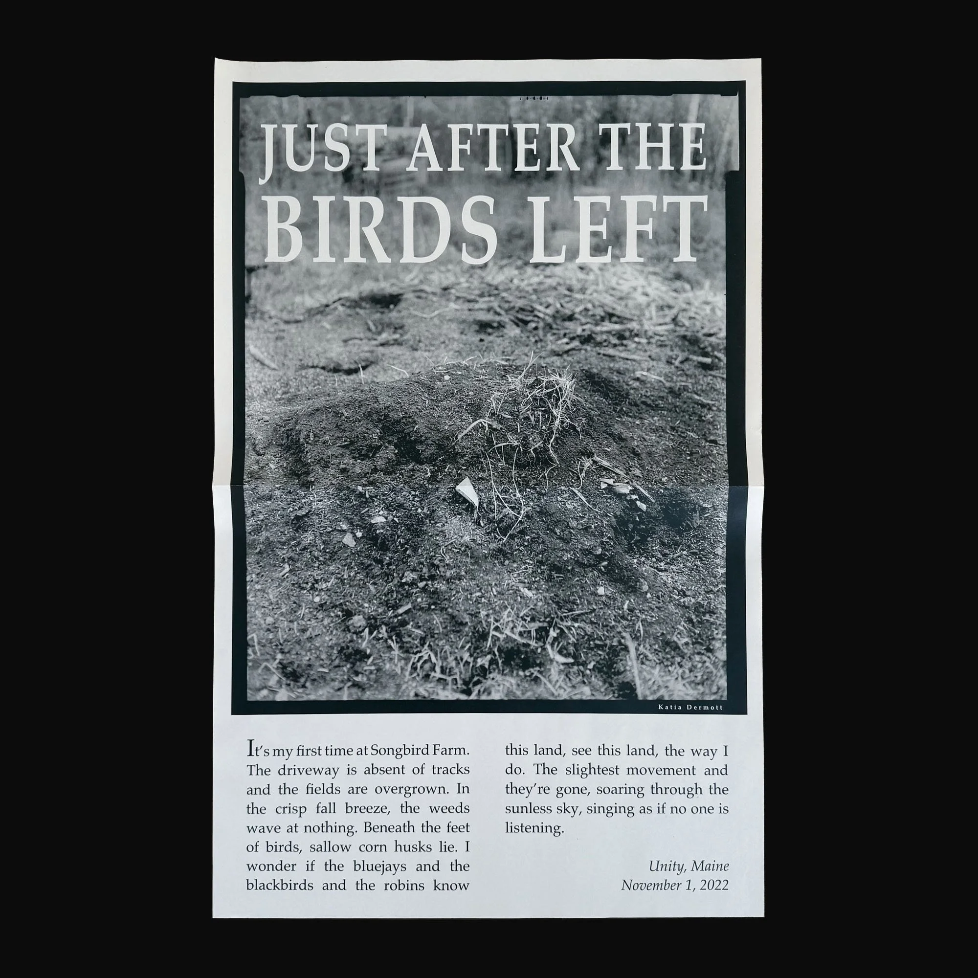 Just After the Birds Left by Katia Dermott
