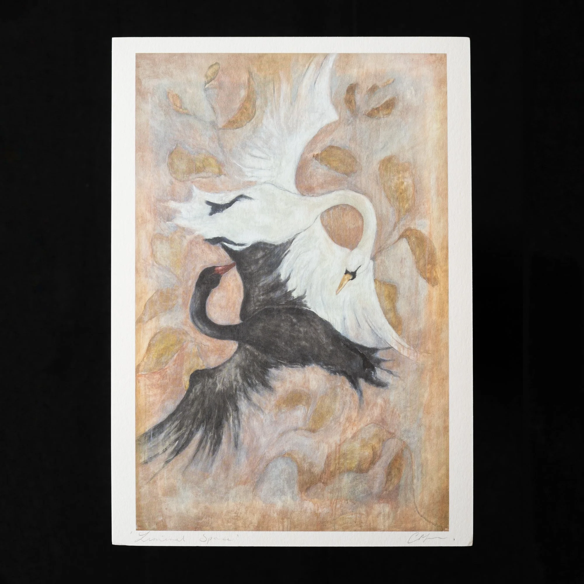 Liminal Space by Georgia Parkin-Jones